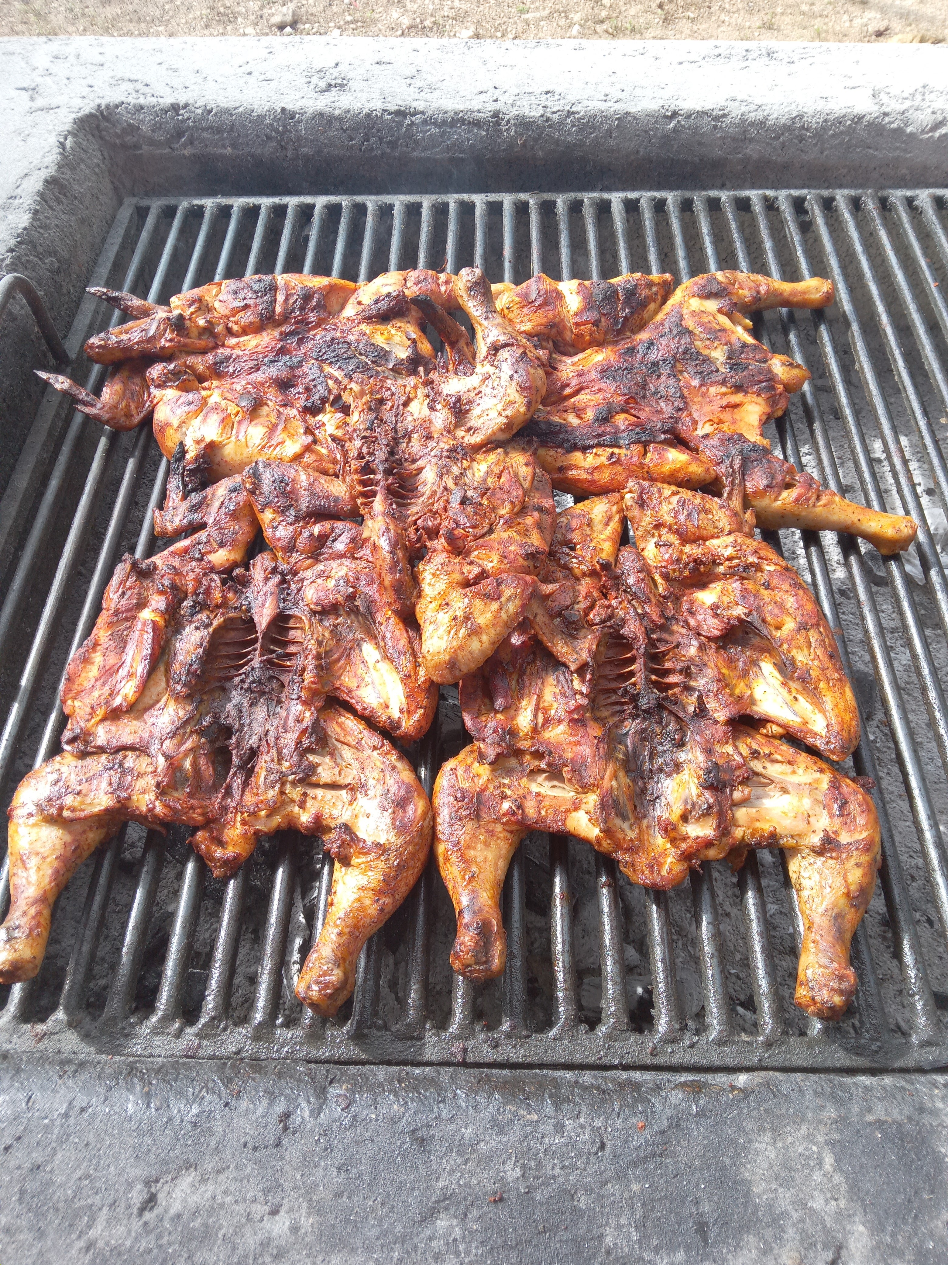 Los Pelicanos Chemax image 4