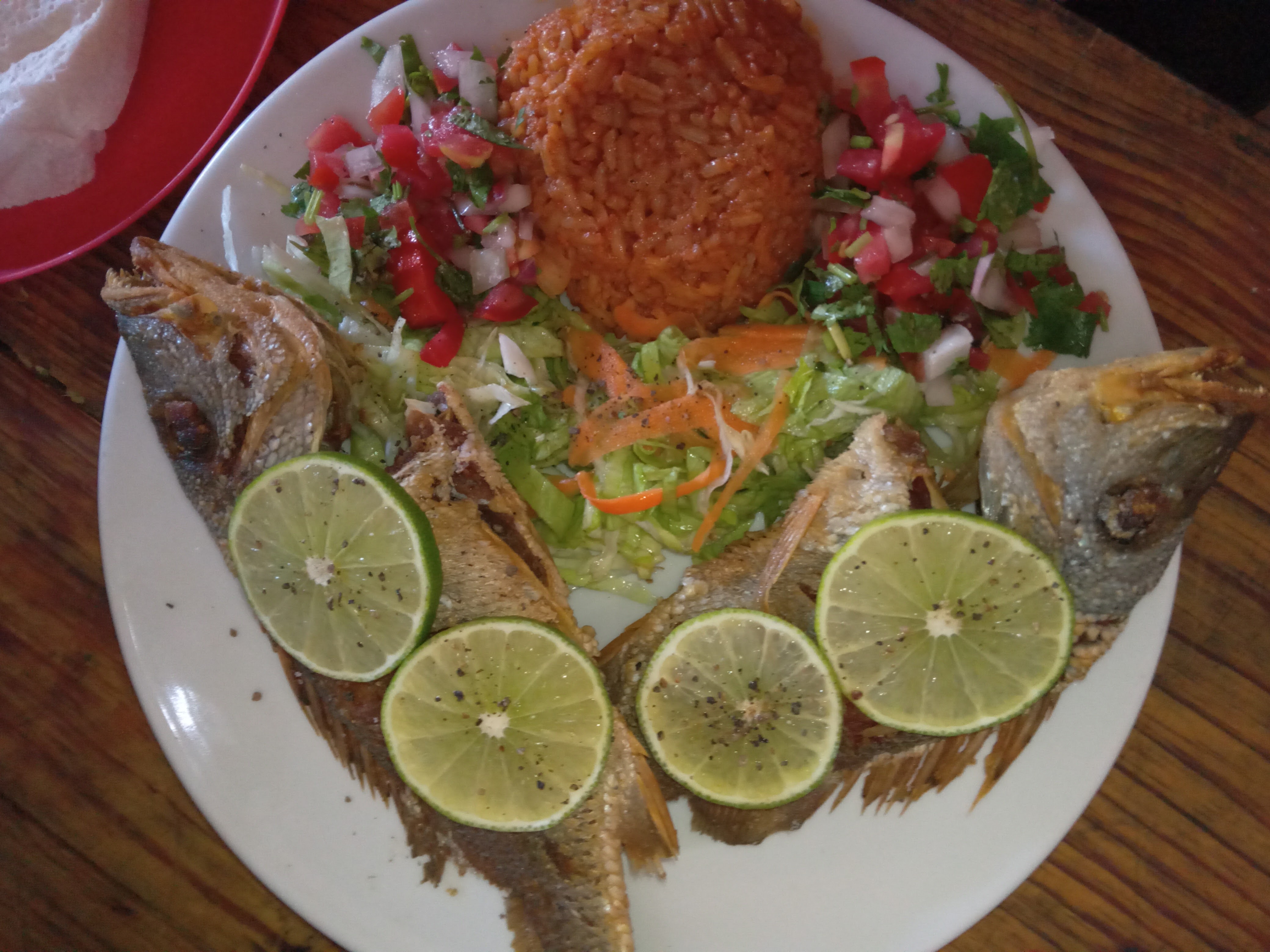 Los Pelicanos Chemax image 7