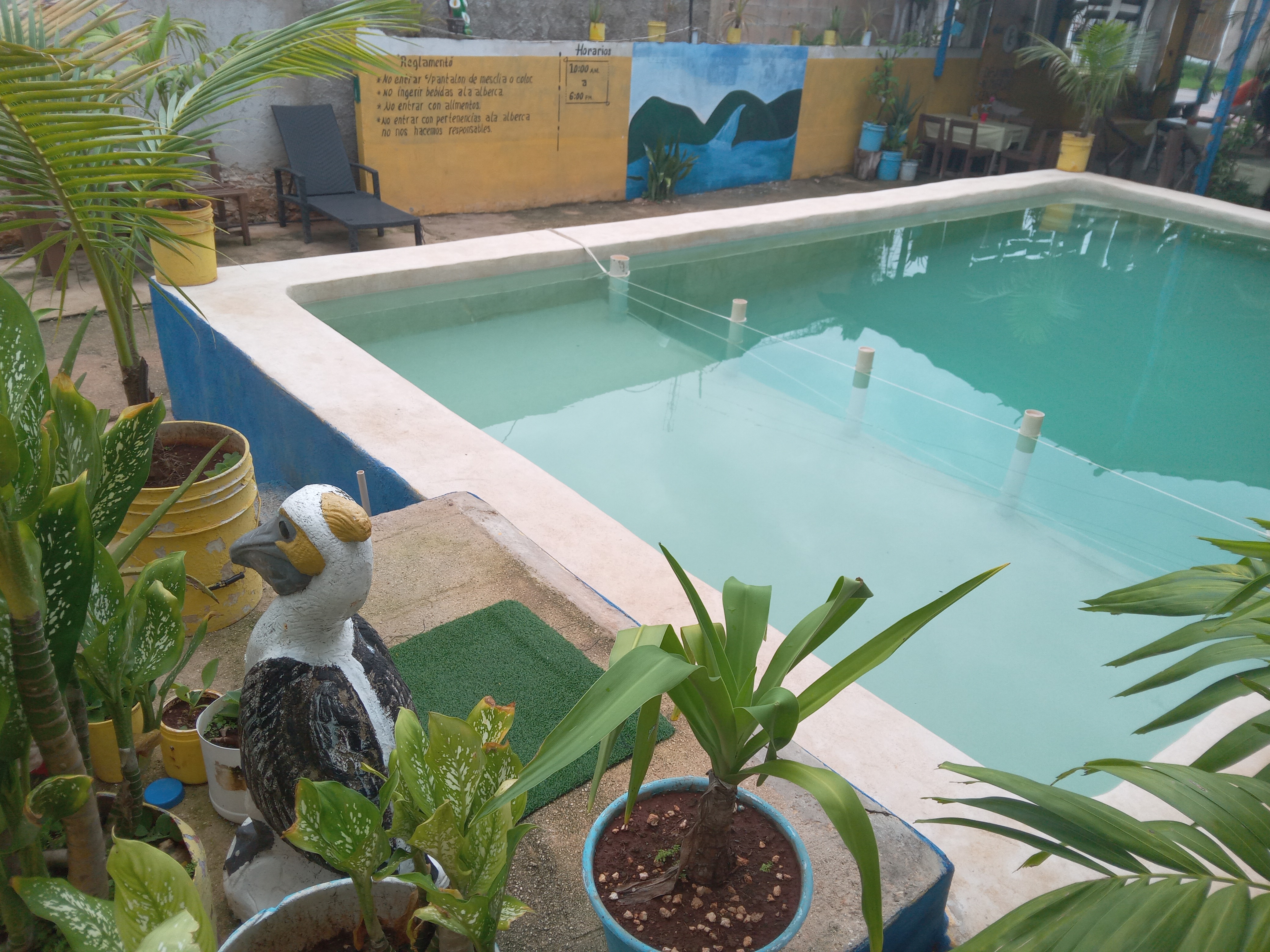 Los Pelicanos Chemax image 9