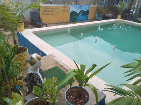Los Pelicanos Chemax image 9
