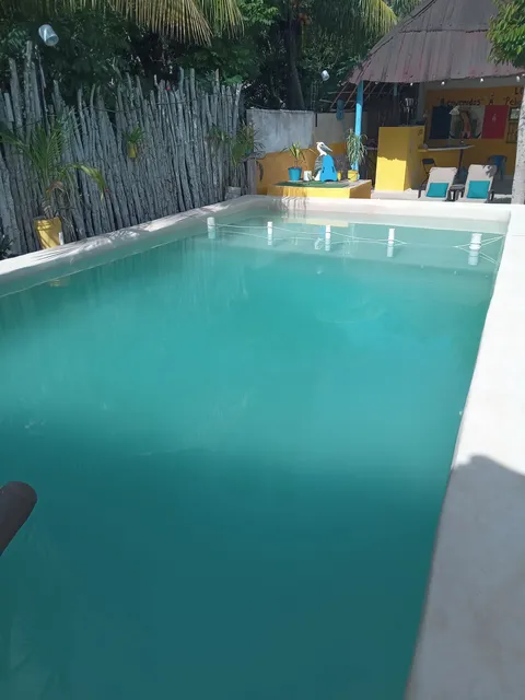 Los Pelicanos Chemax image 10