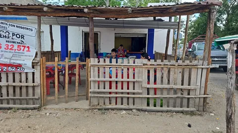 Doña Lulu image 6