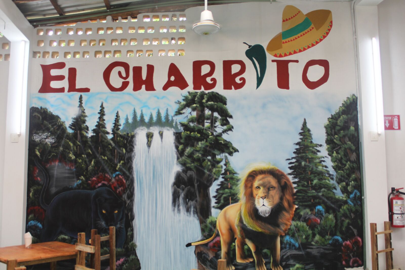 EL CHARRITO image 9