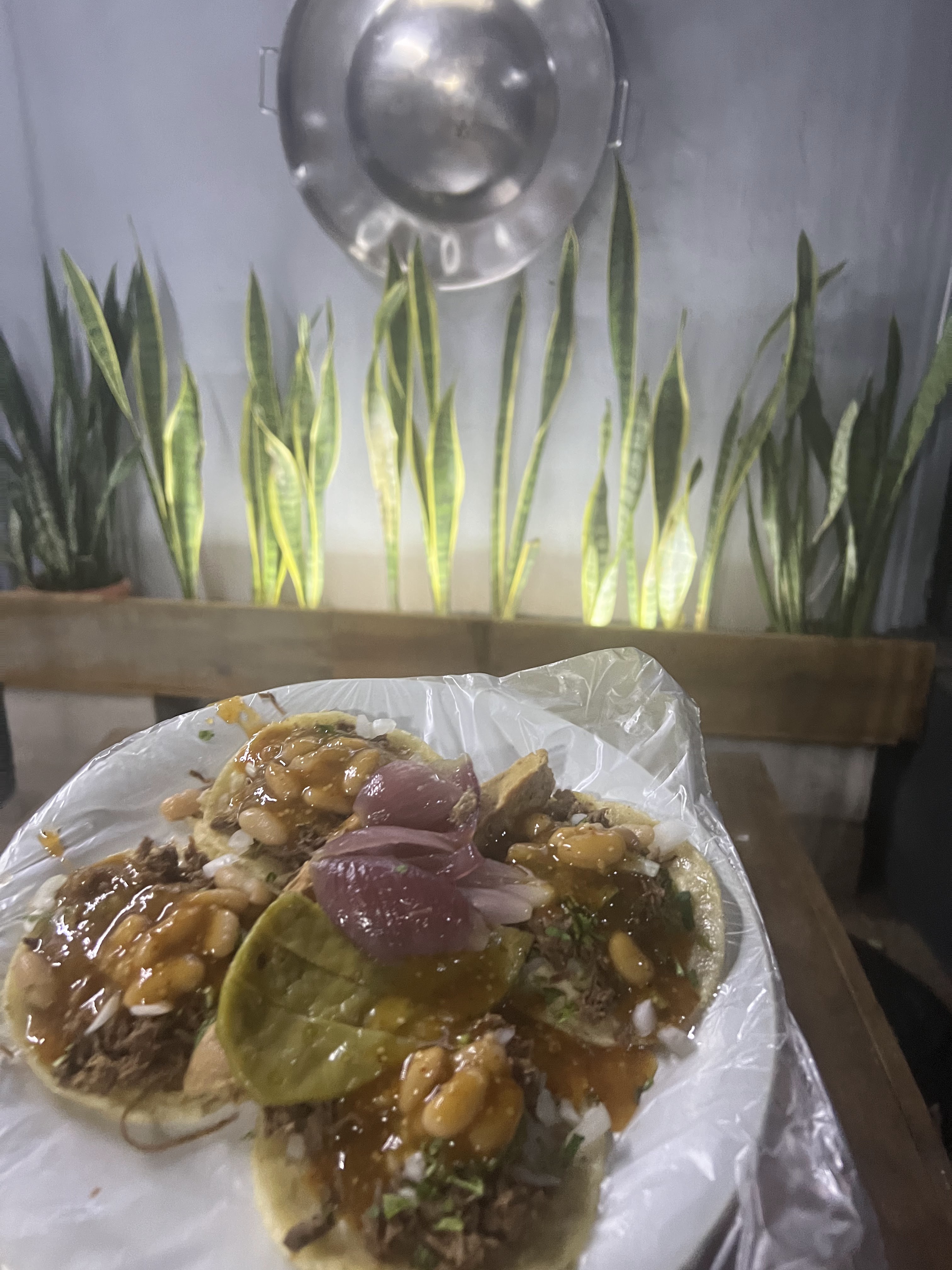 EL REY TAQUERIA image 6