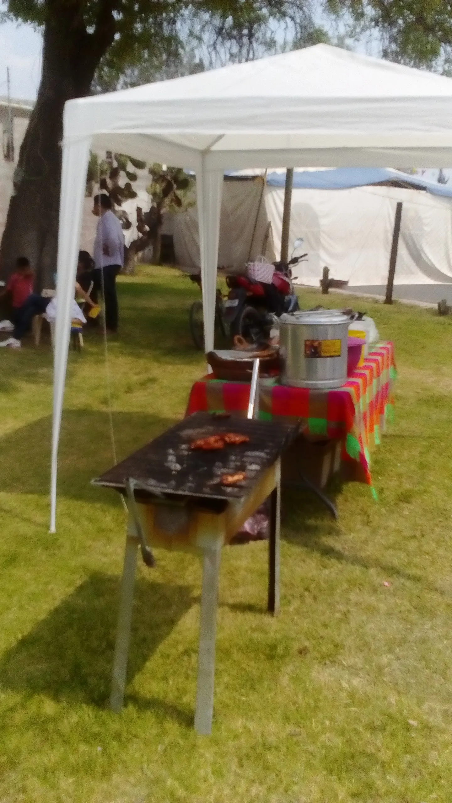 ESQUINA CAMPESTRE image 3