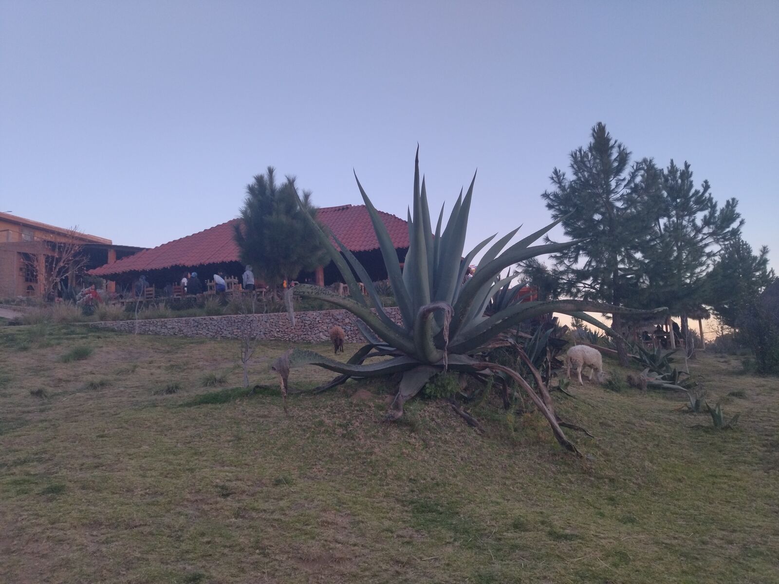 Los cantaritos - Rancho Loma Bonita image 6