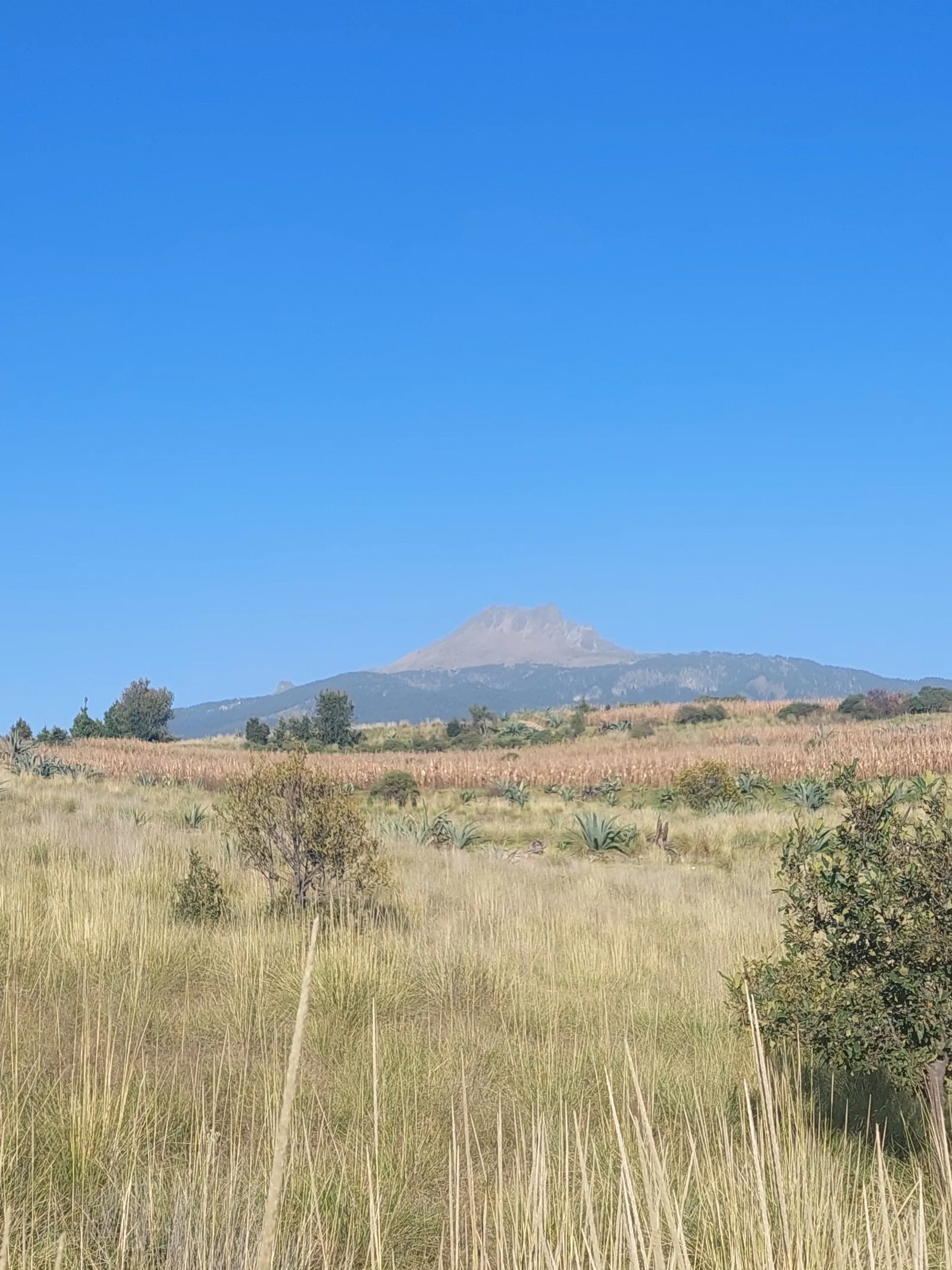 Los cantaritos - Rancho Loma Bonita image 7