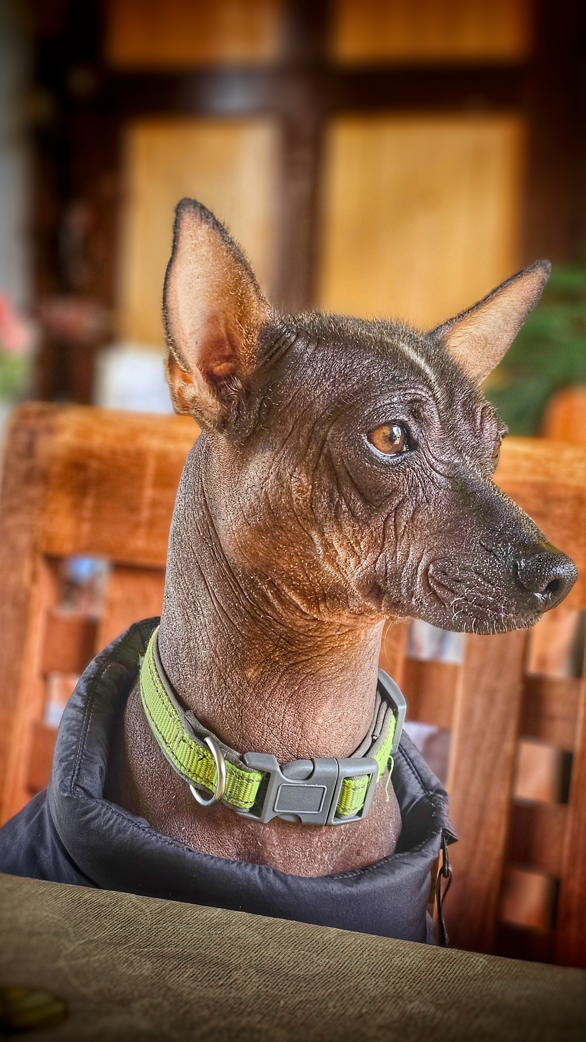 Birria los Juanchos image 4