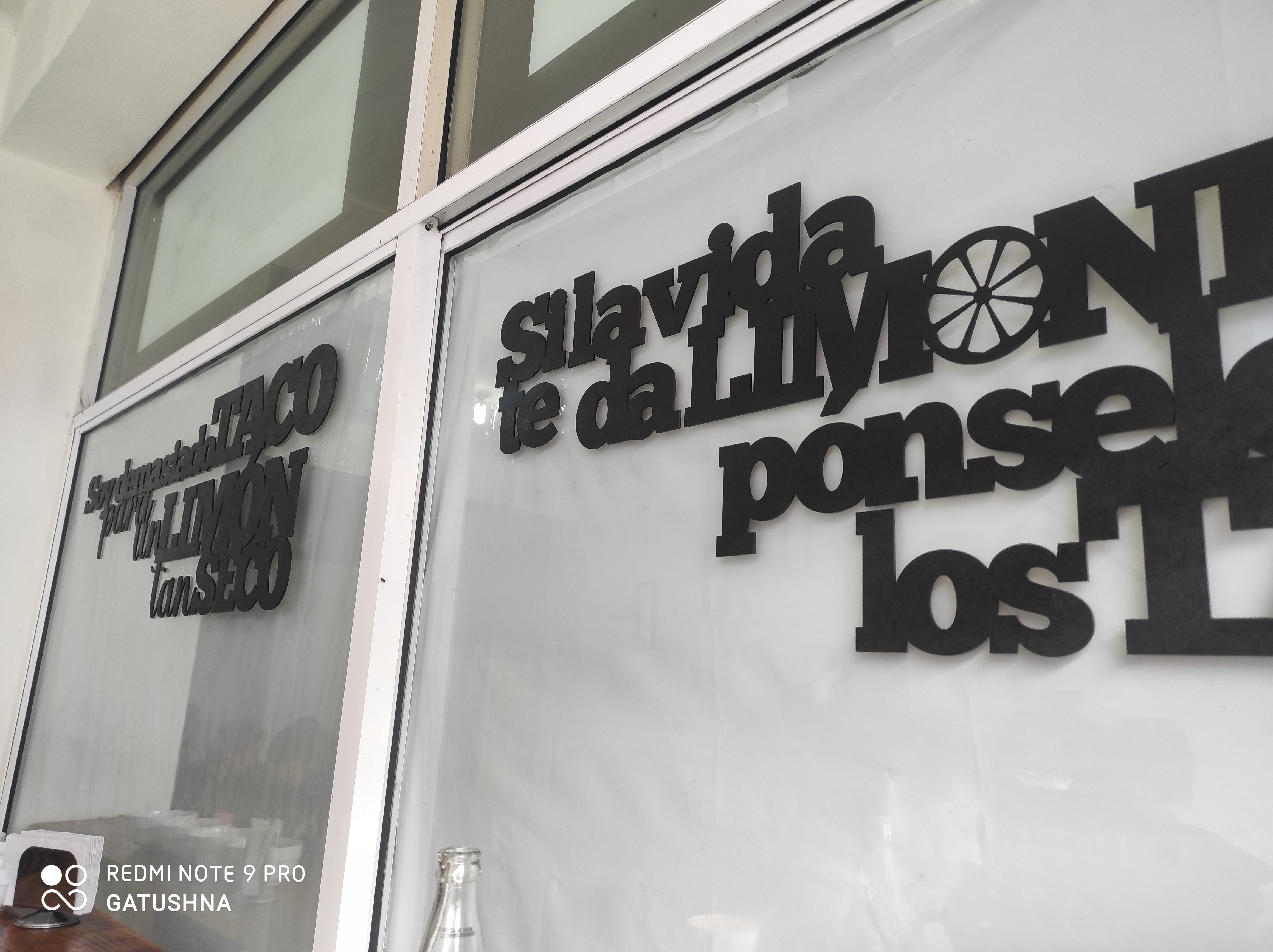 Tacos de Barbacoa Don Pepy image 4