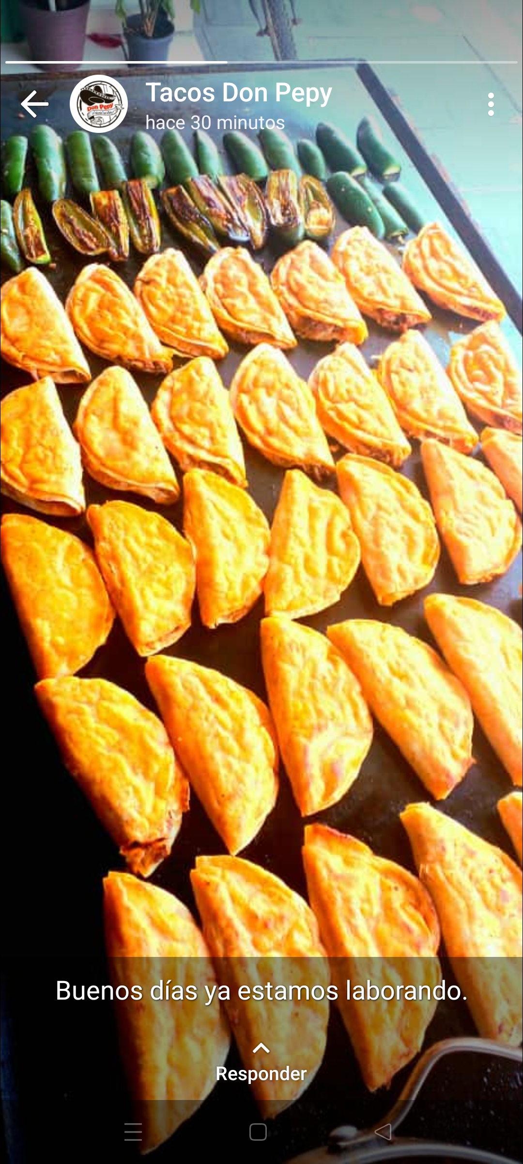 Tacos de Barbacoa Don Pepy image 6