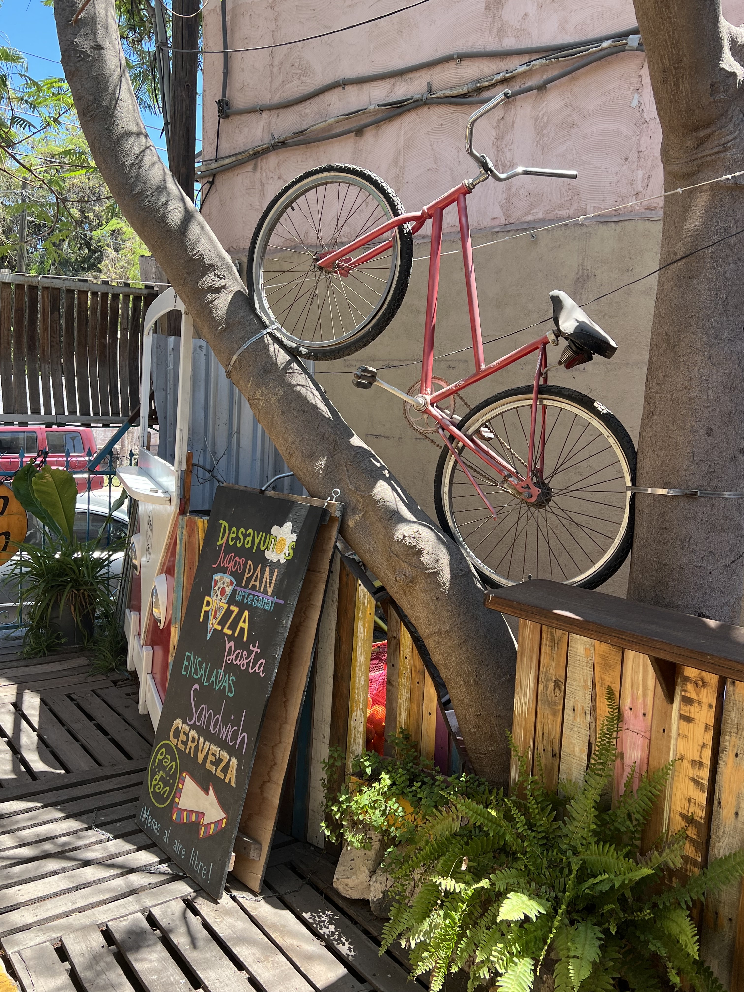 Pan que Pan image 10