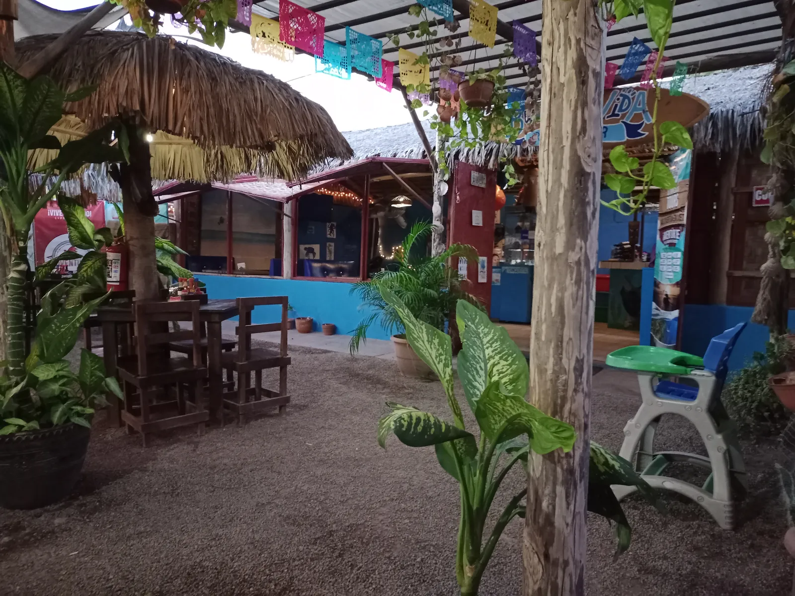 Buena Vida image 10
