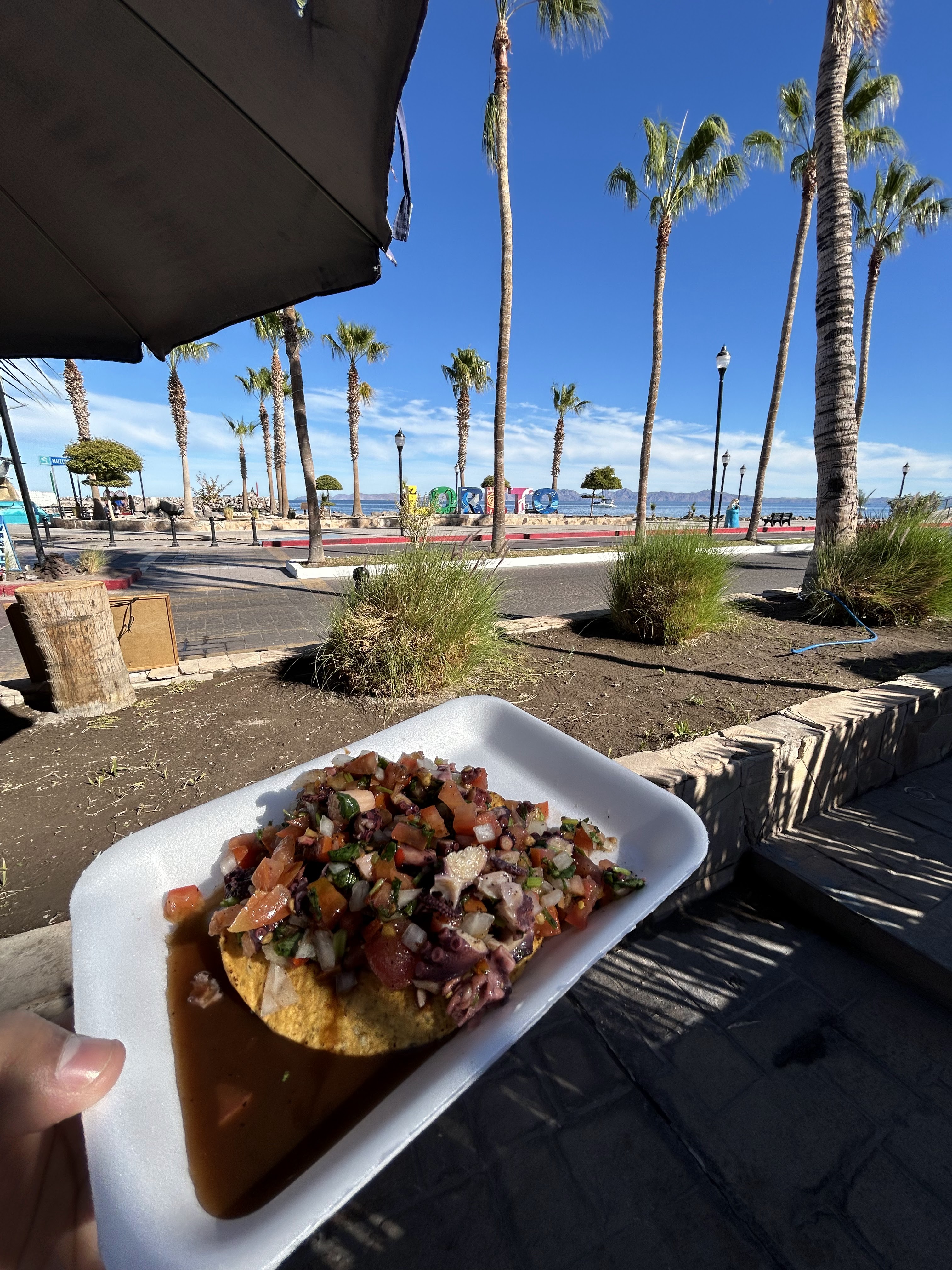 Mariscos Iván image 4