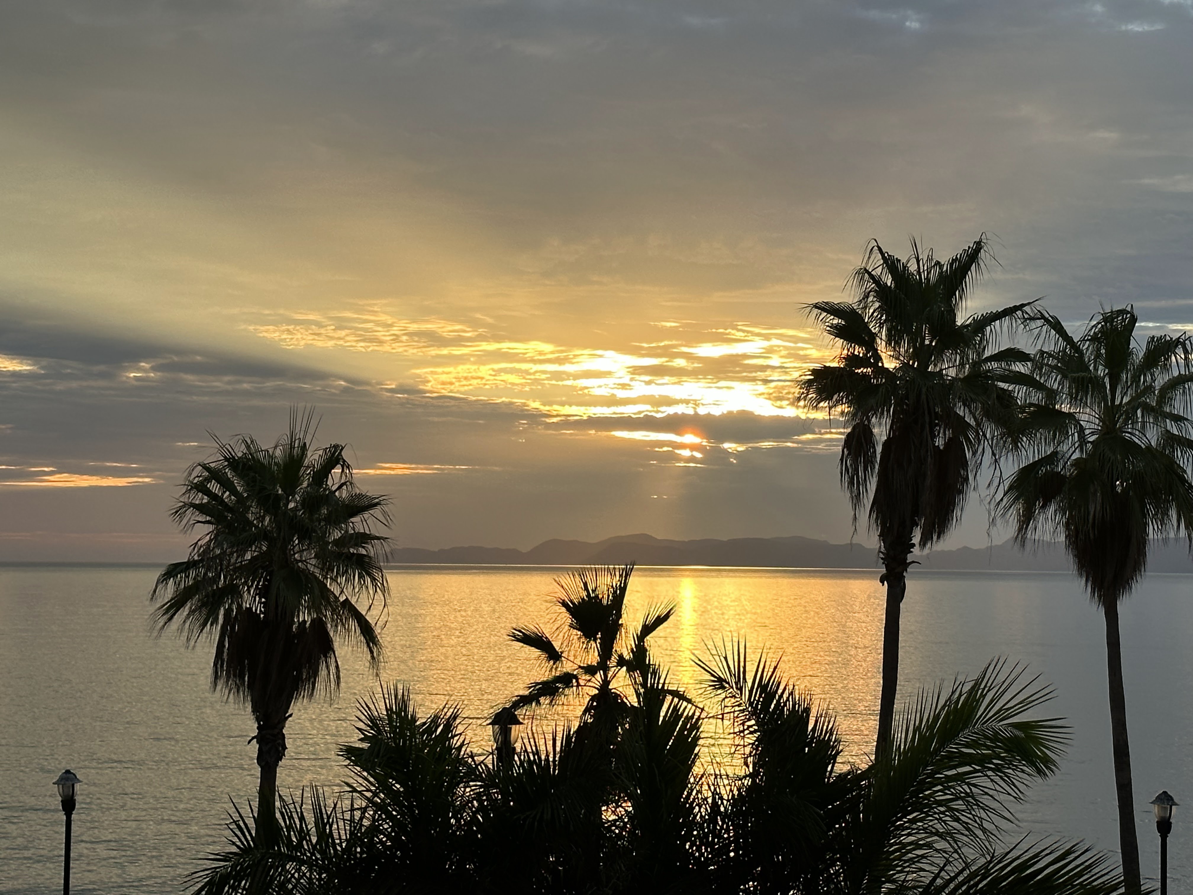 Loreto Islas image 4