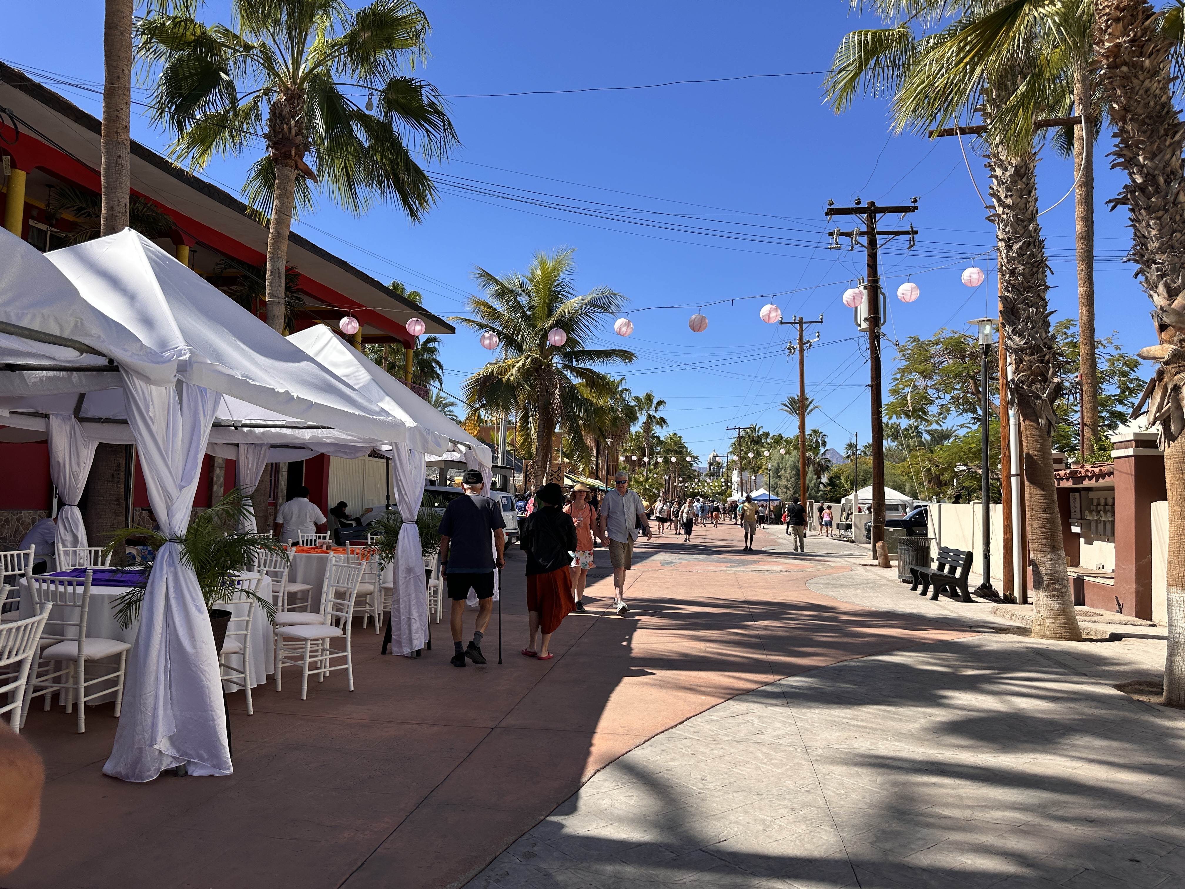 Loreto Islas image 6