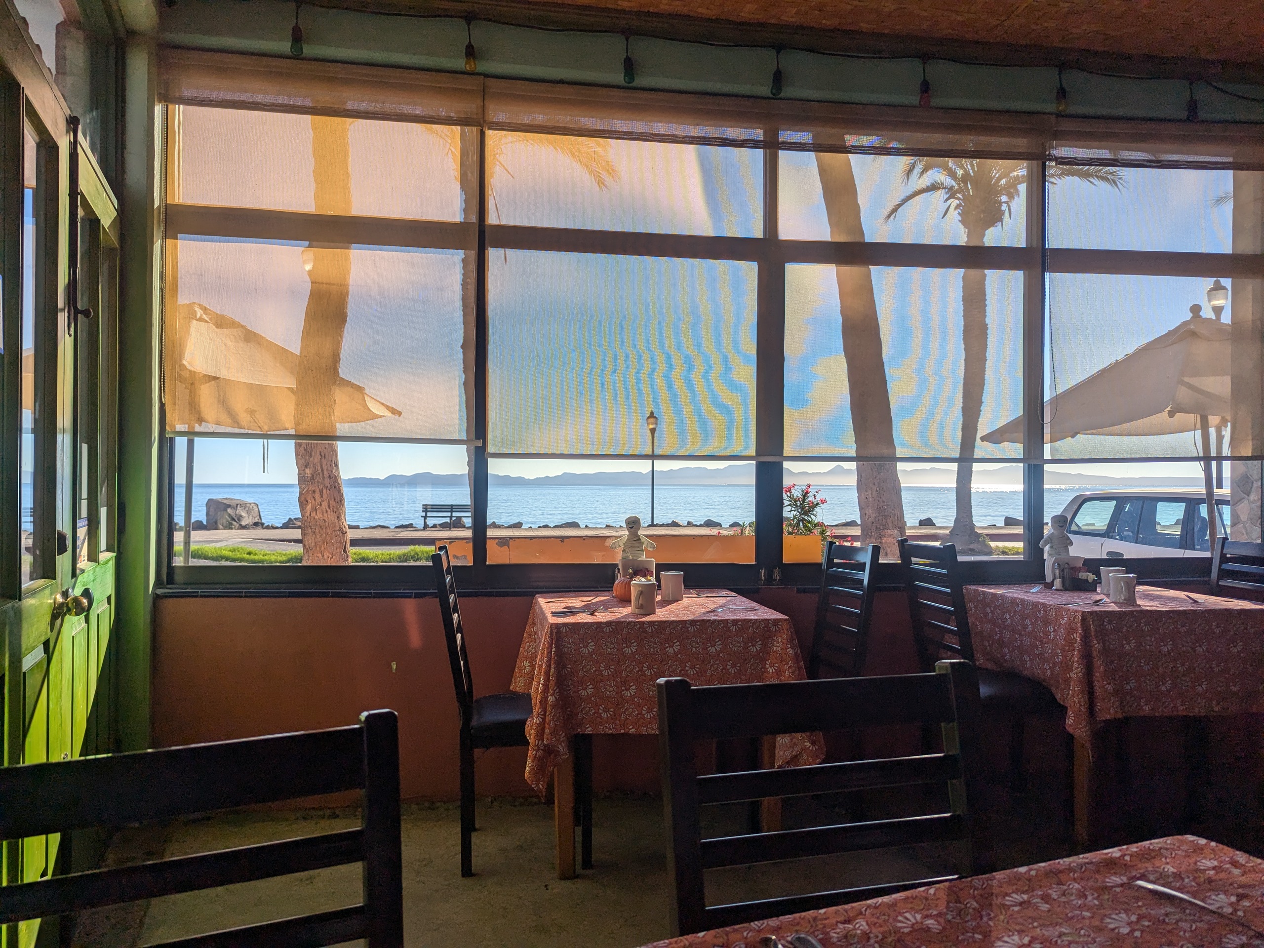 Loreto Islas image 8