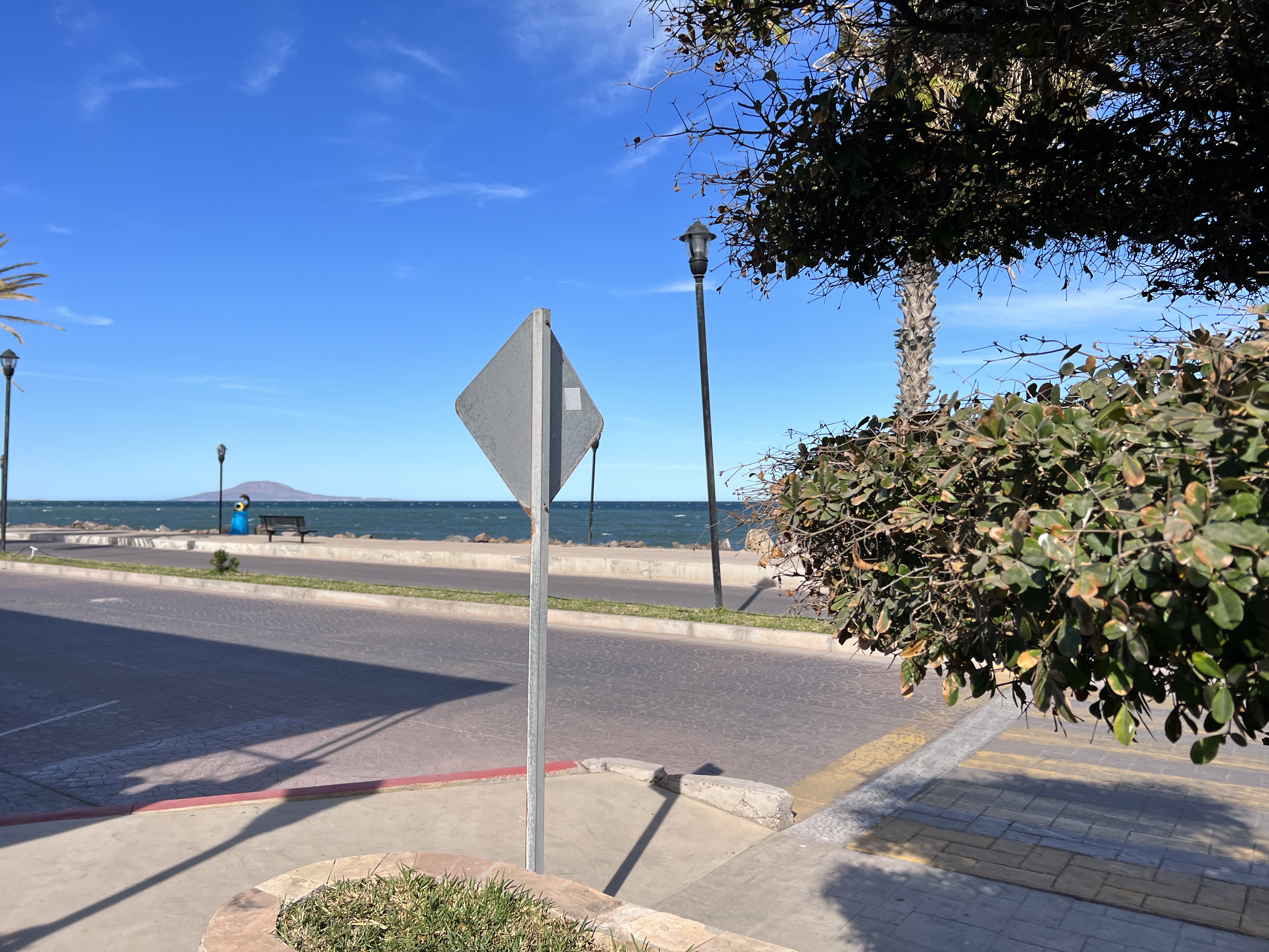 Los Mandiles de Santa Lucía image 5