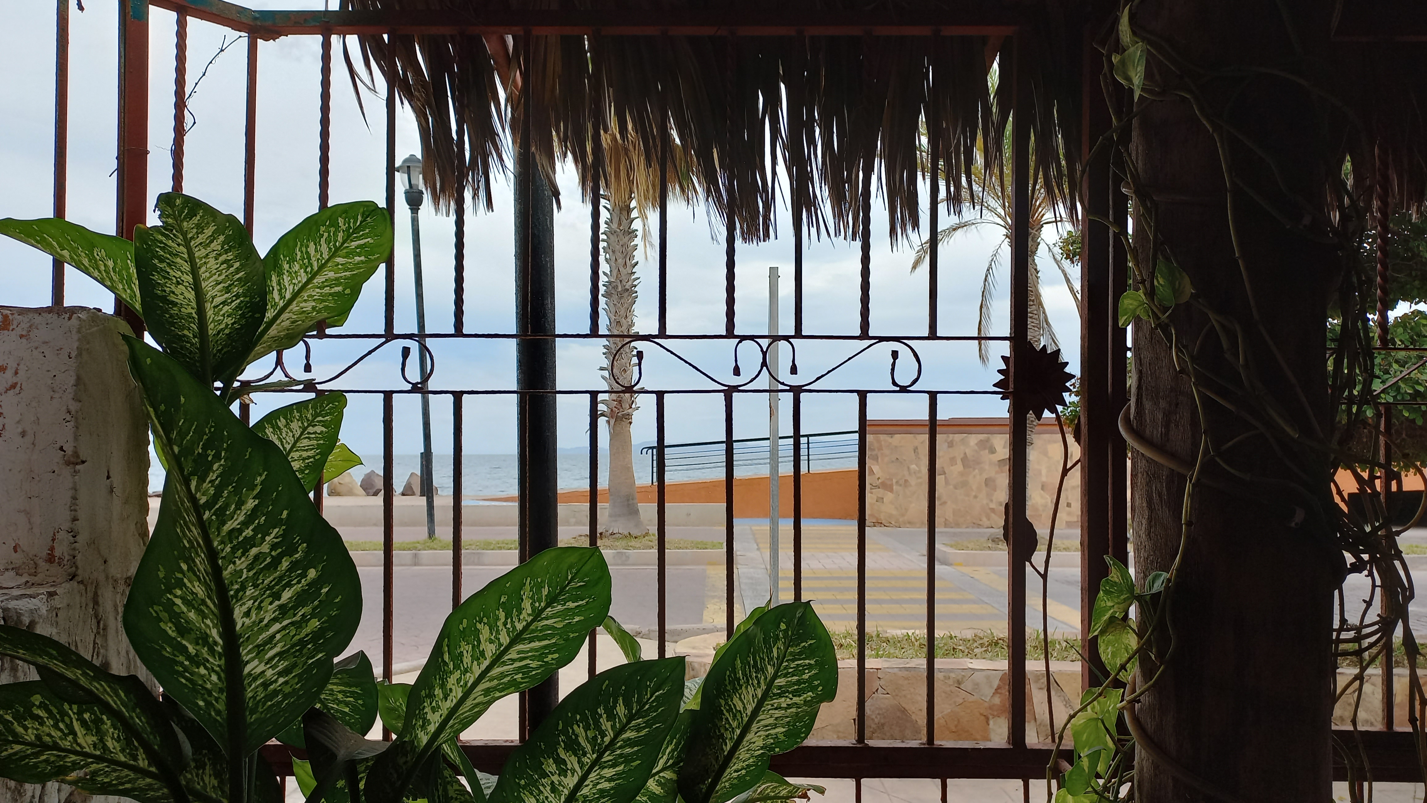 Los Mandiles de Santa Lucía image 9
