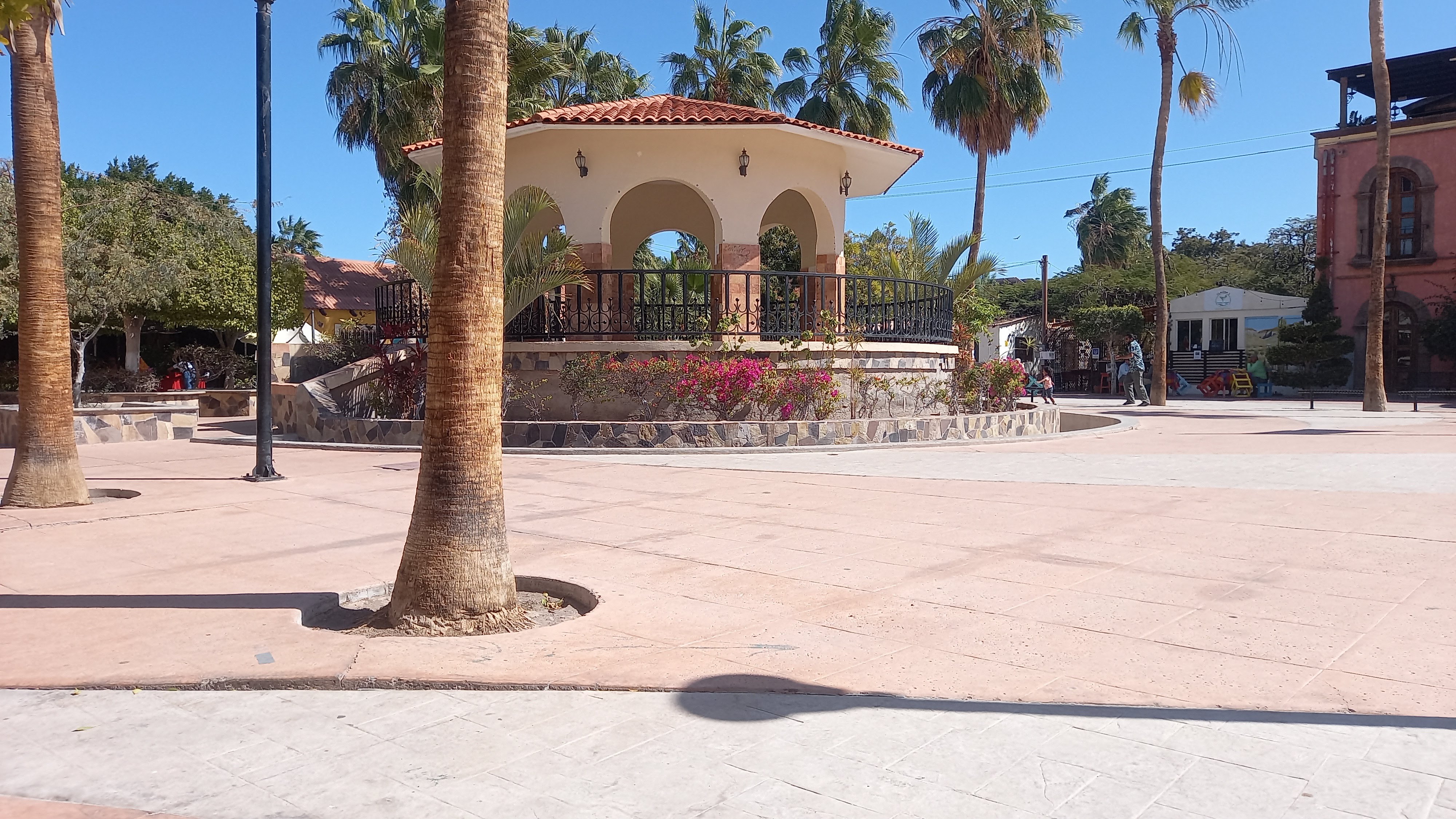 Mita Gourmet image 8