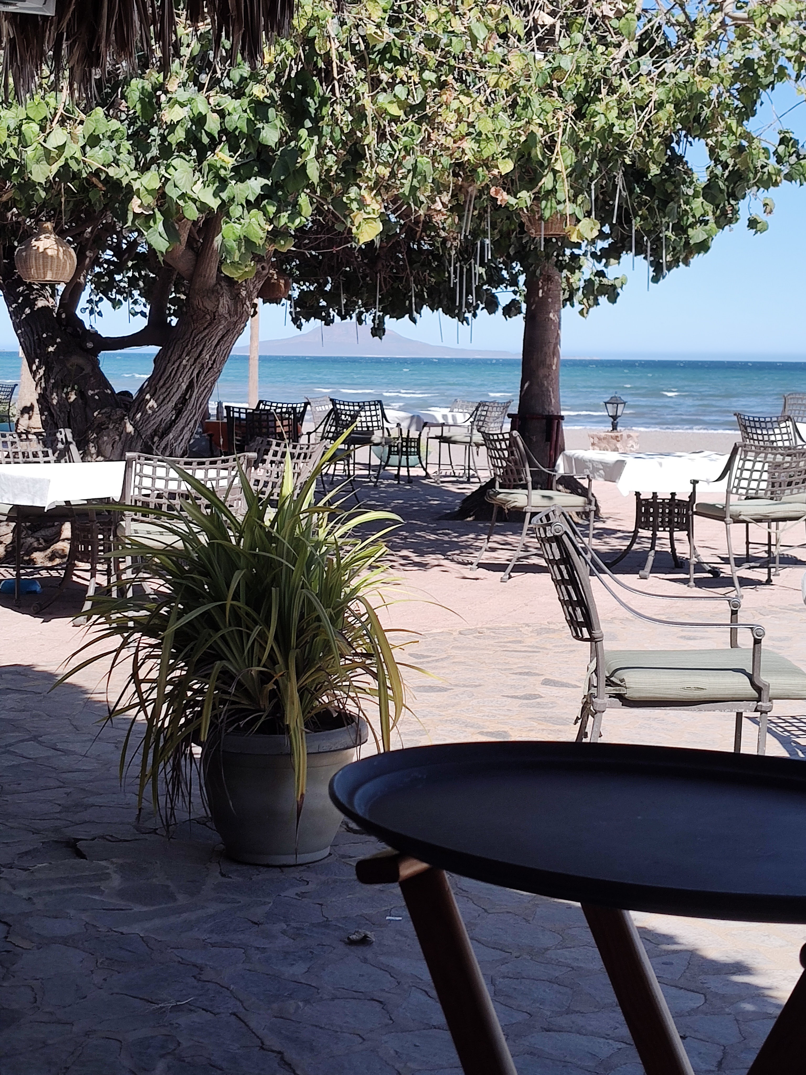 Oasis Restaurant image 1