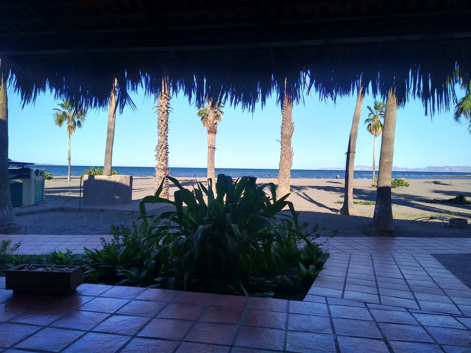 Oasis Restaurant image 3
