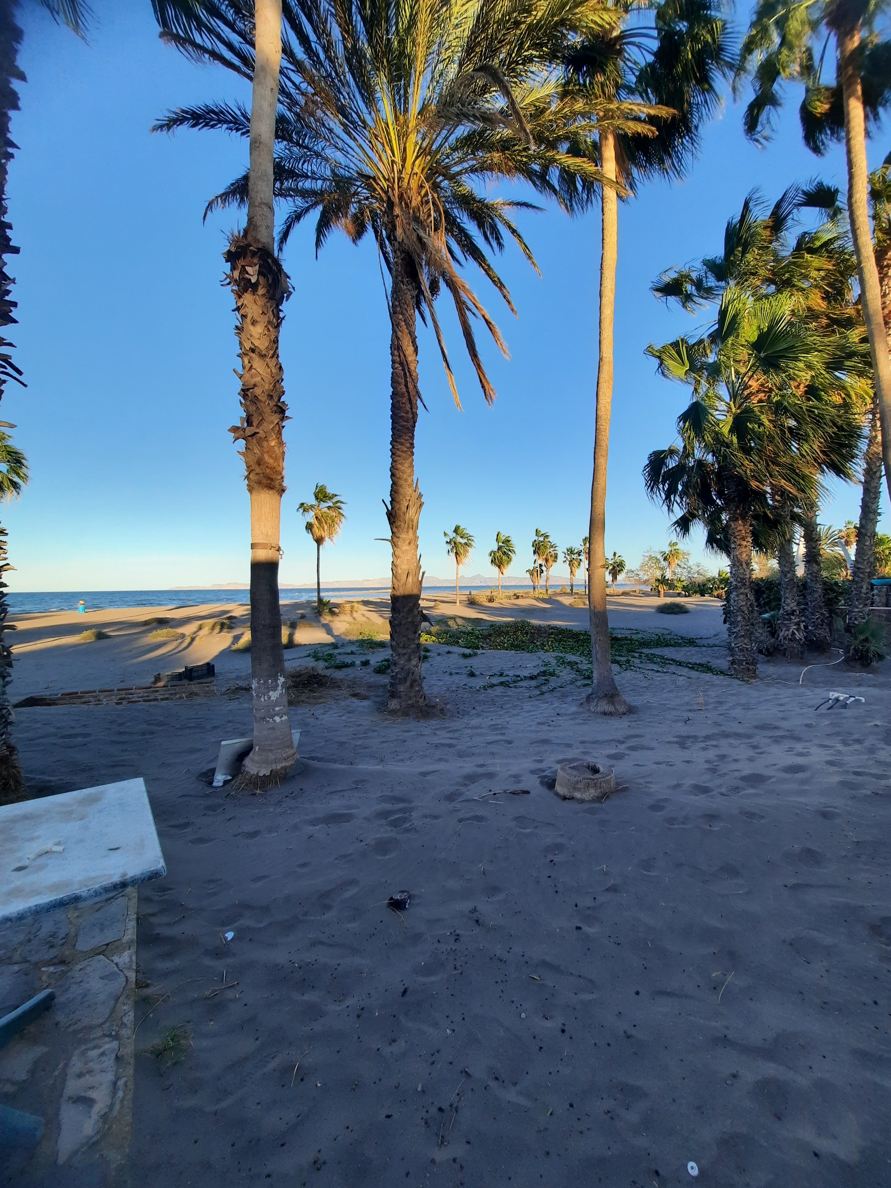 Oasis Restaurant image 5