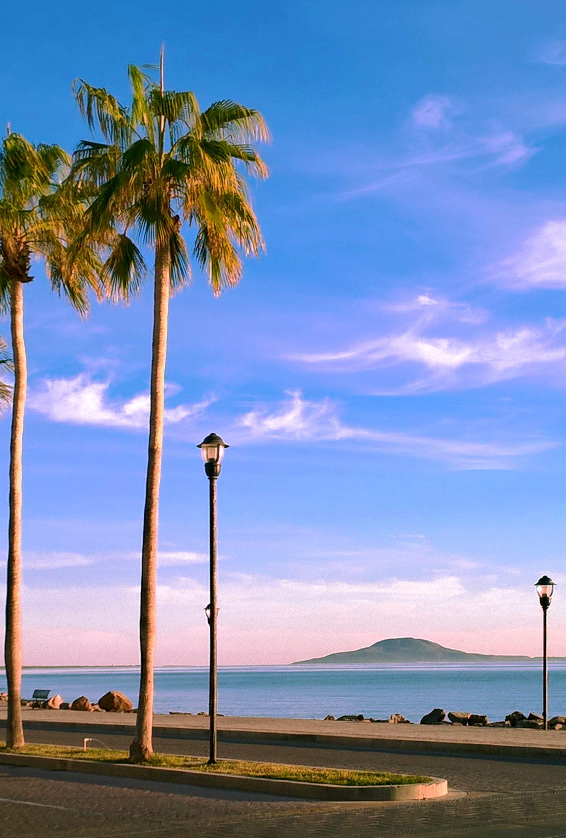 Oasis Restaurant image 7