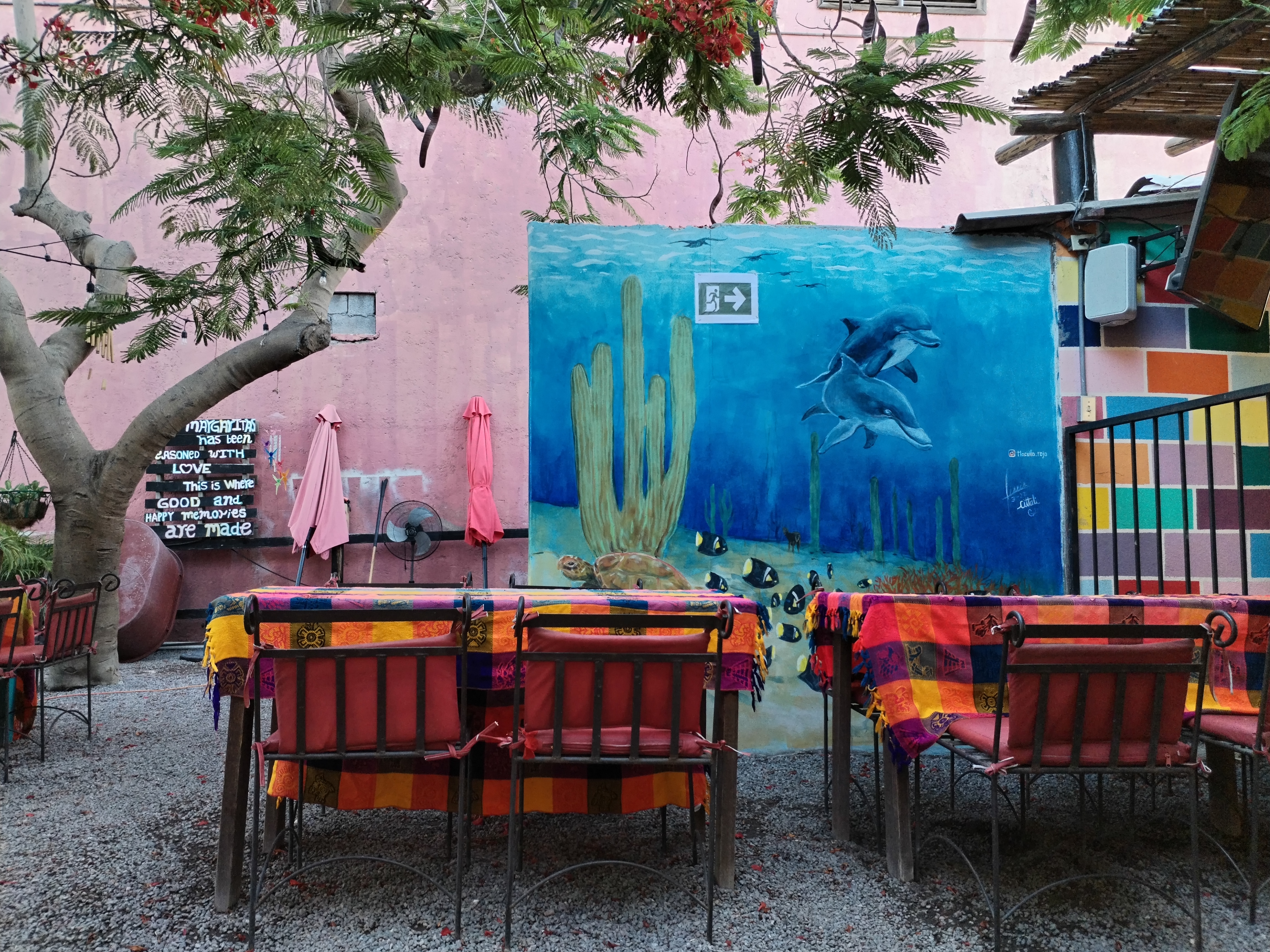 Claudias Margaritas Loreto image 6