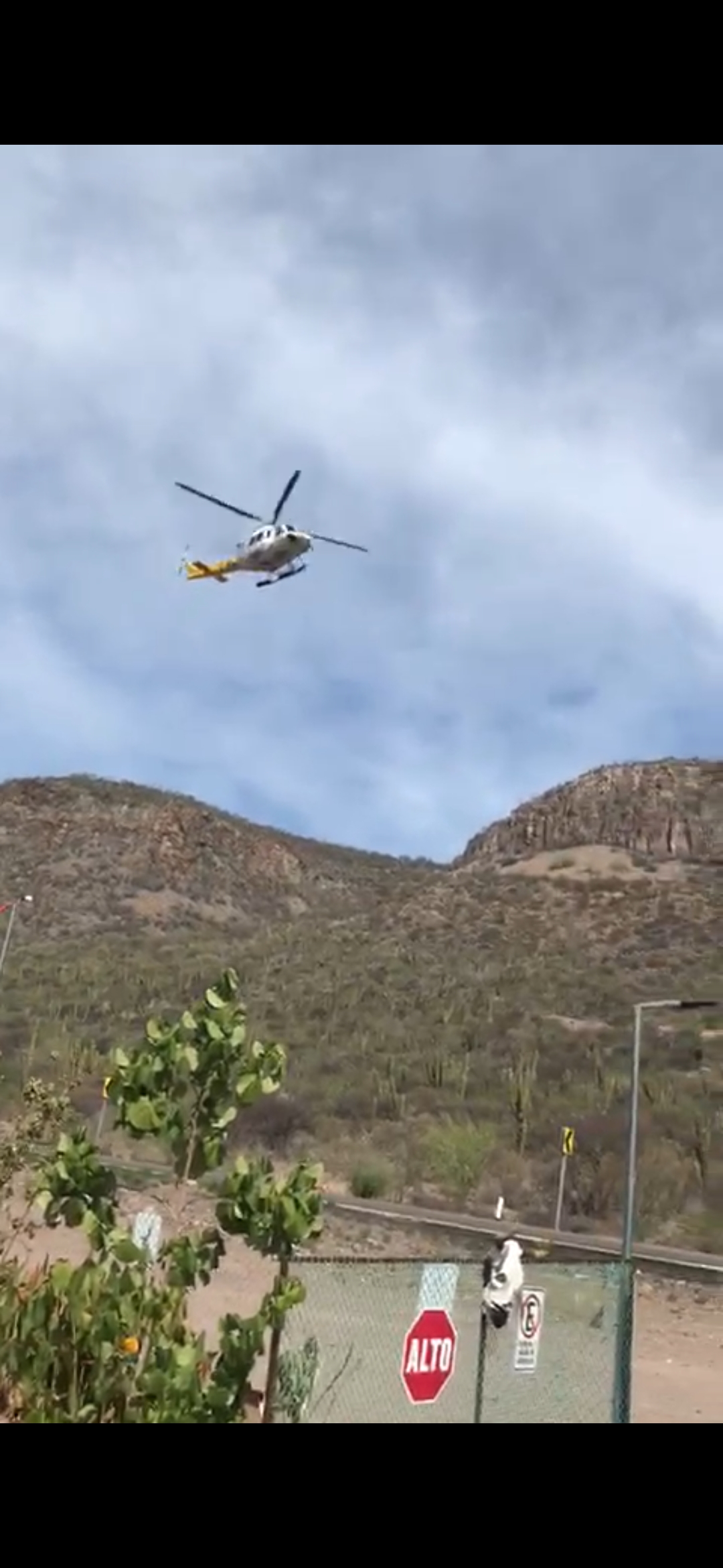 Restaurant El Parguito image 2