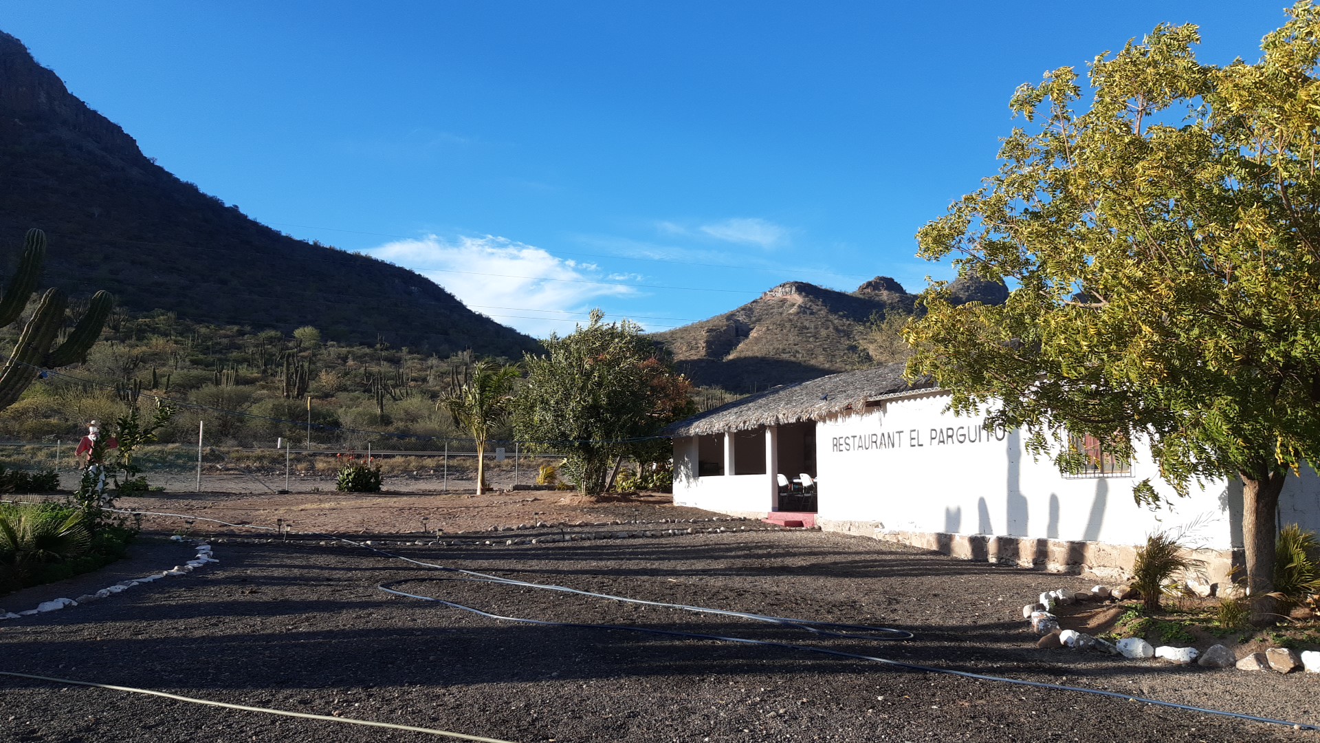 Restaurant El Parguito image 3