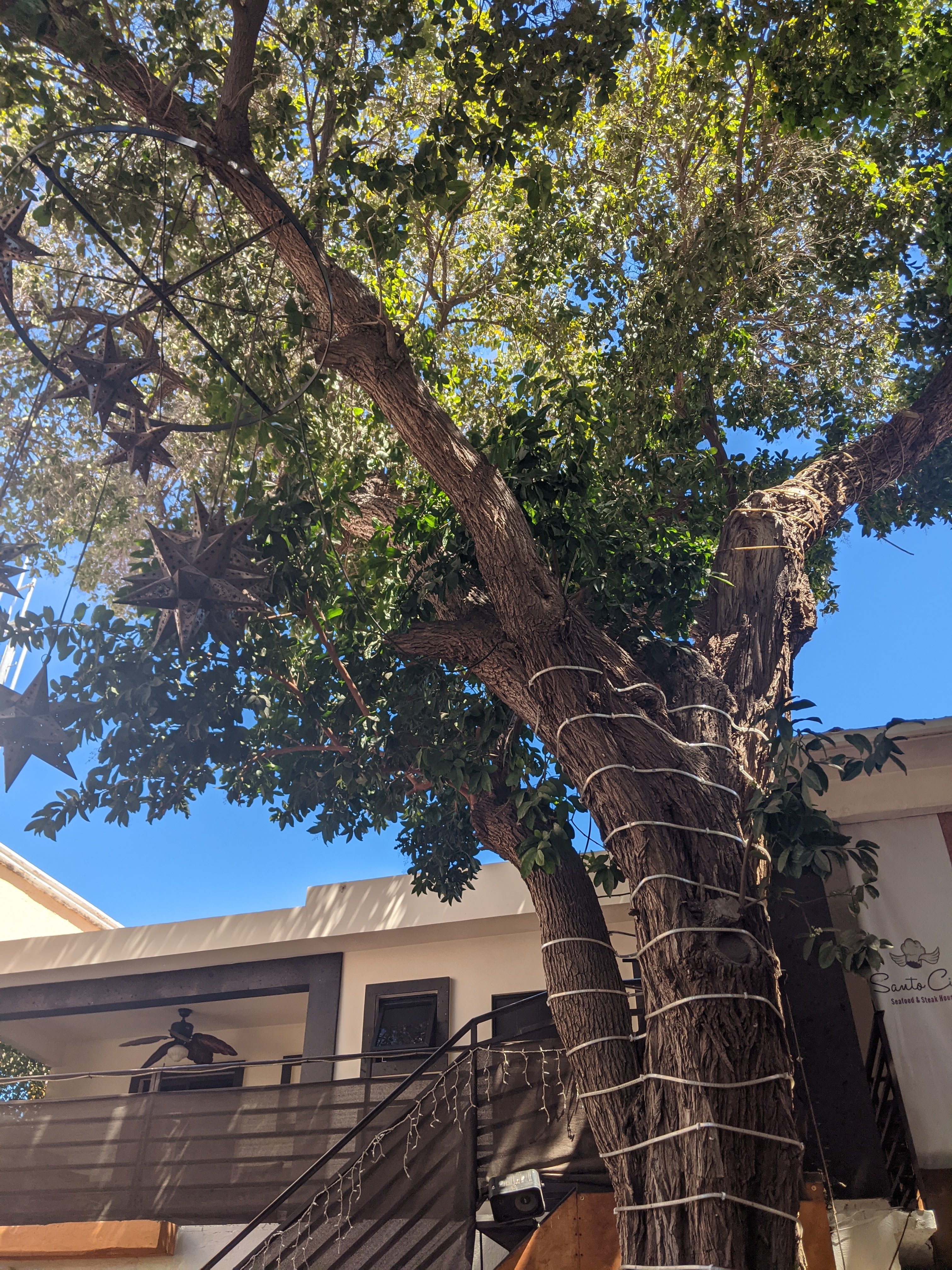 Santo Cielo Cocina Gourmet image 9