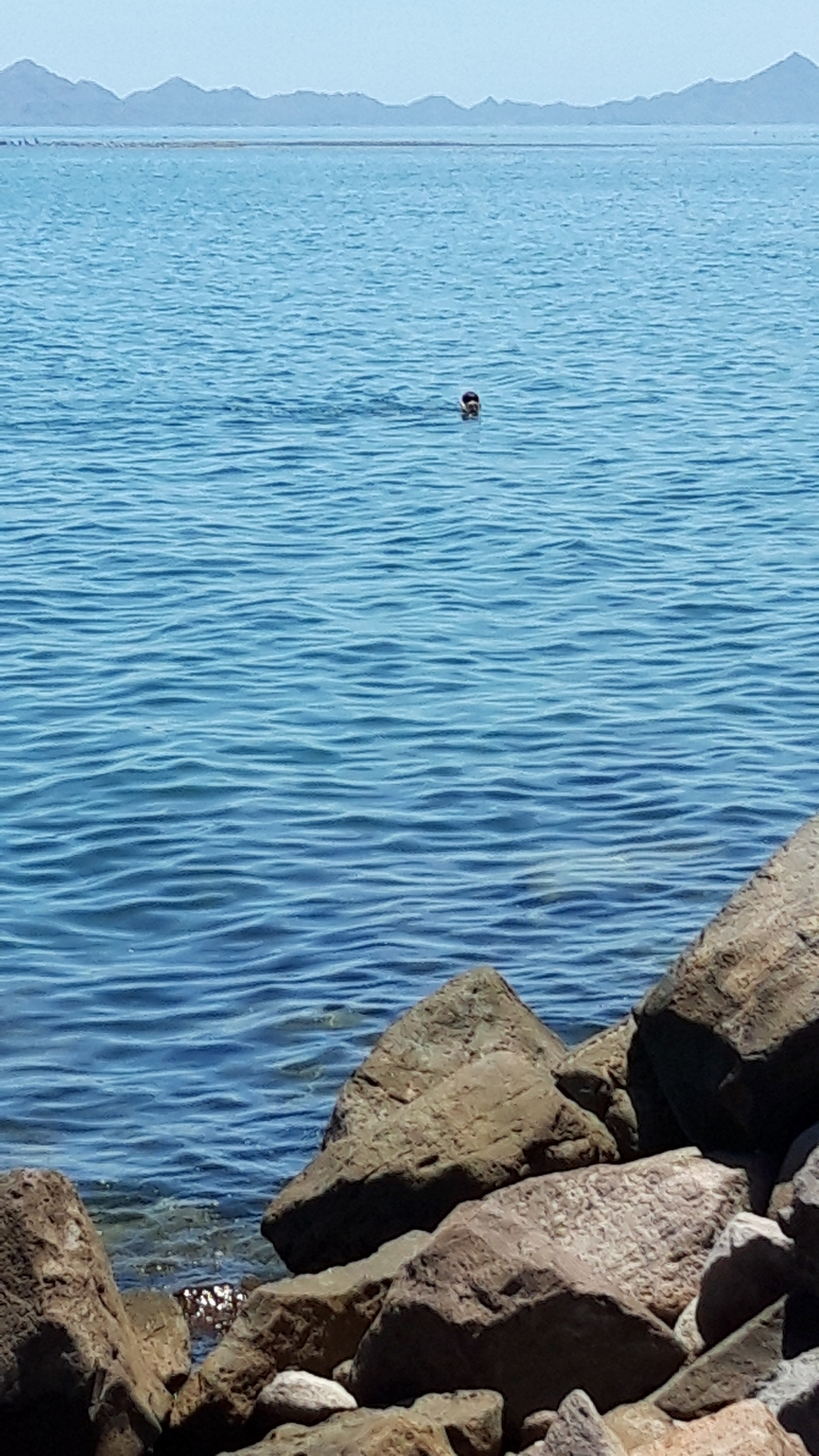 Augie's Bar & Bait Shop image 8