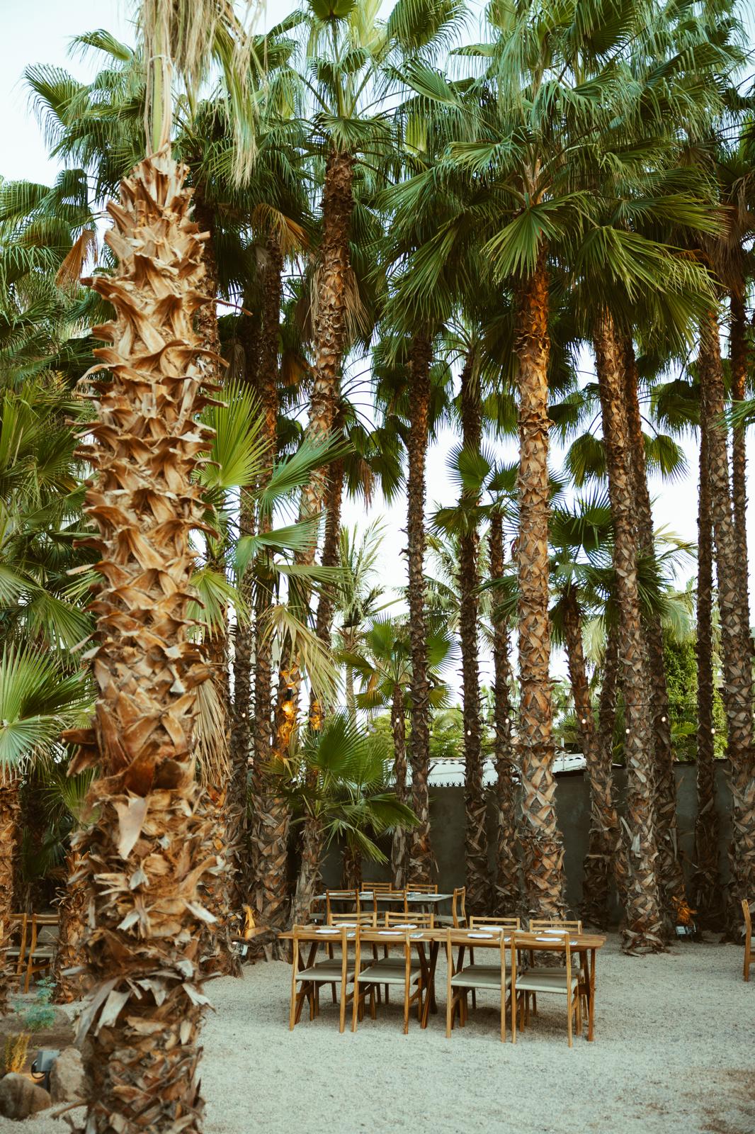 Romanita Baja Kitchen image 9