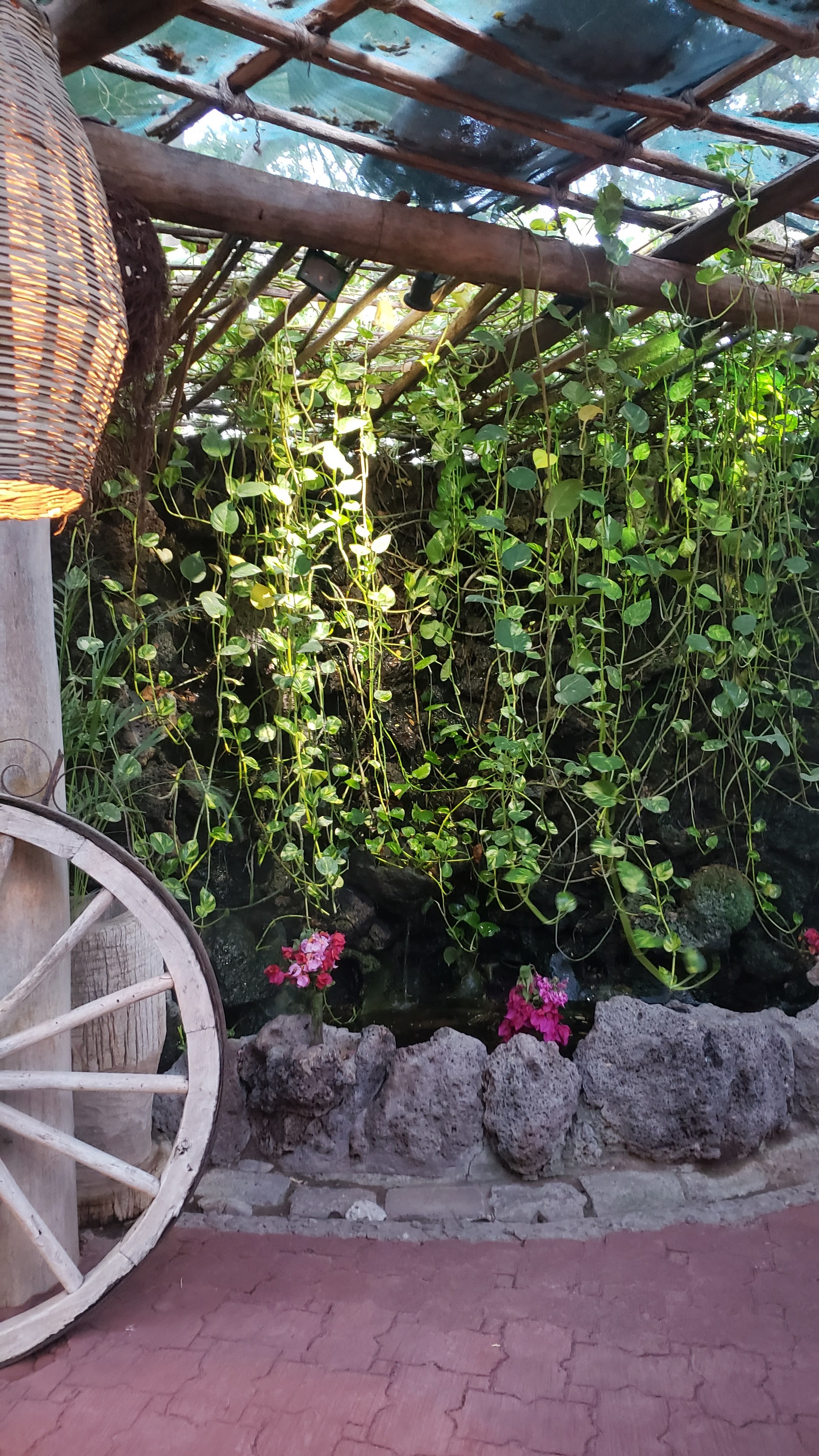 Domingo's steak house & sea food image 5