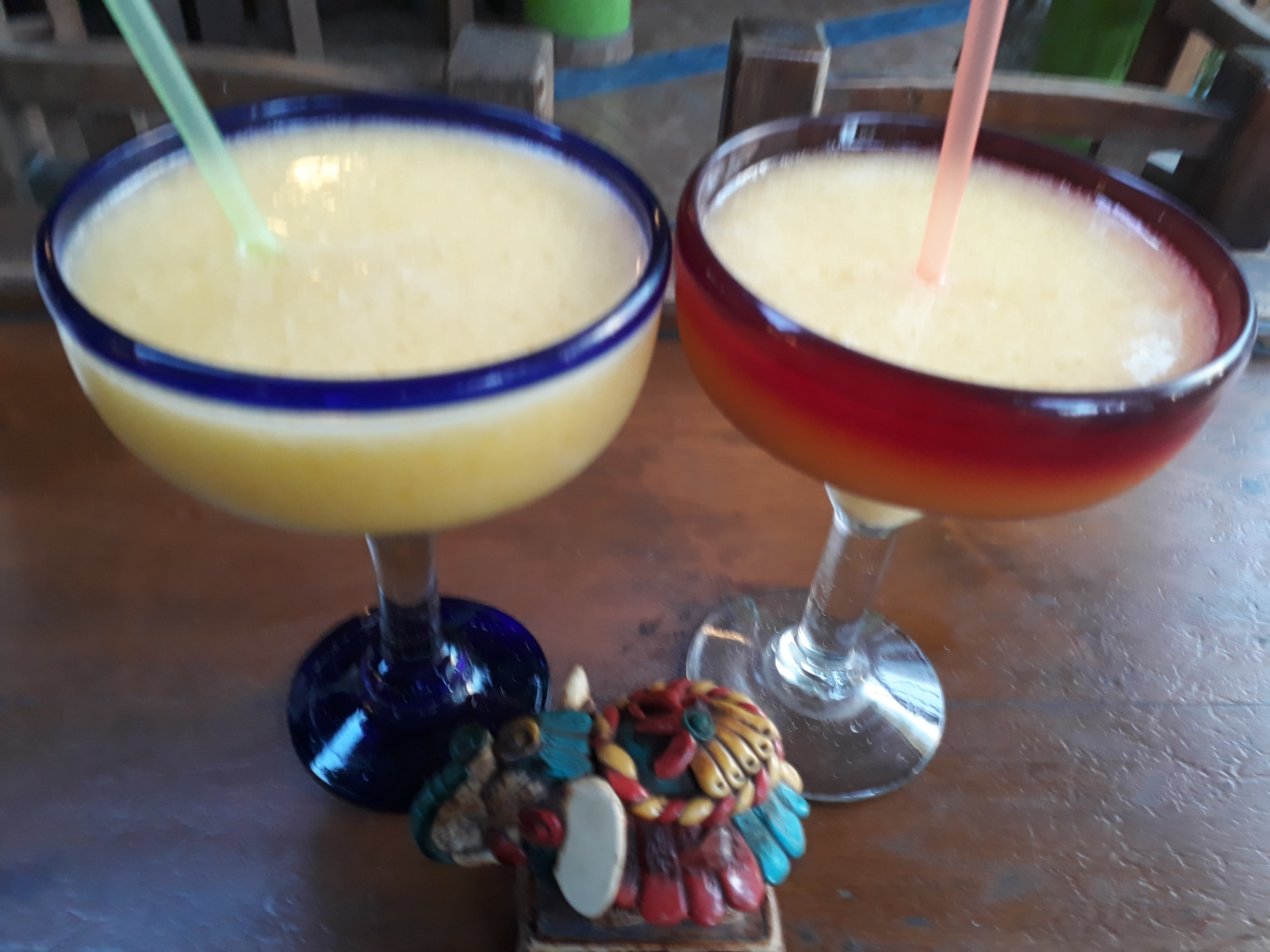 Giggling Dolphin image 2