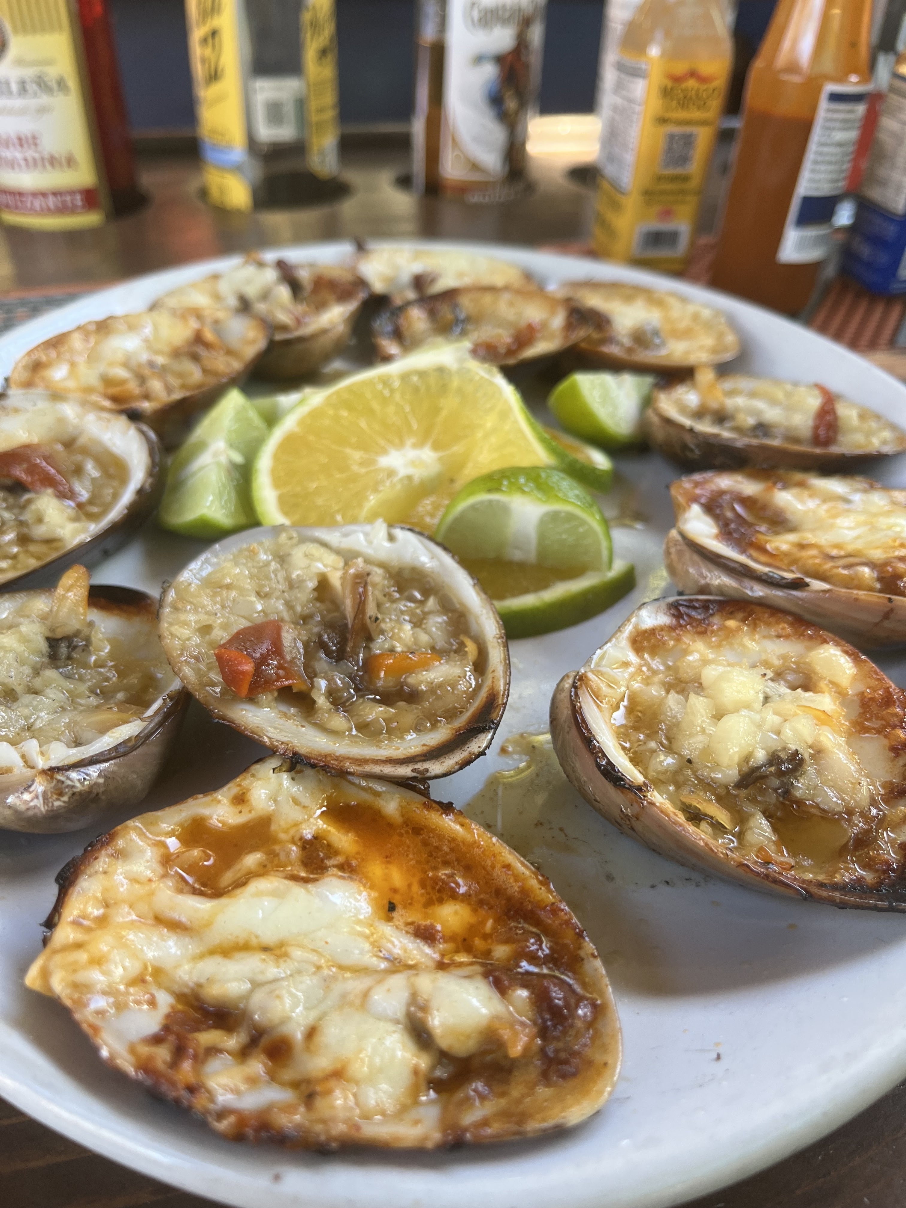 Giggling Dolphin image 4