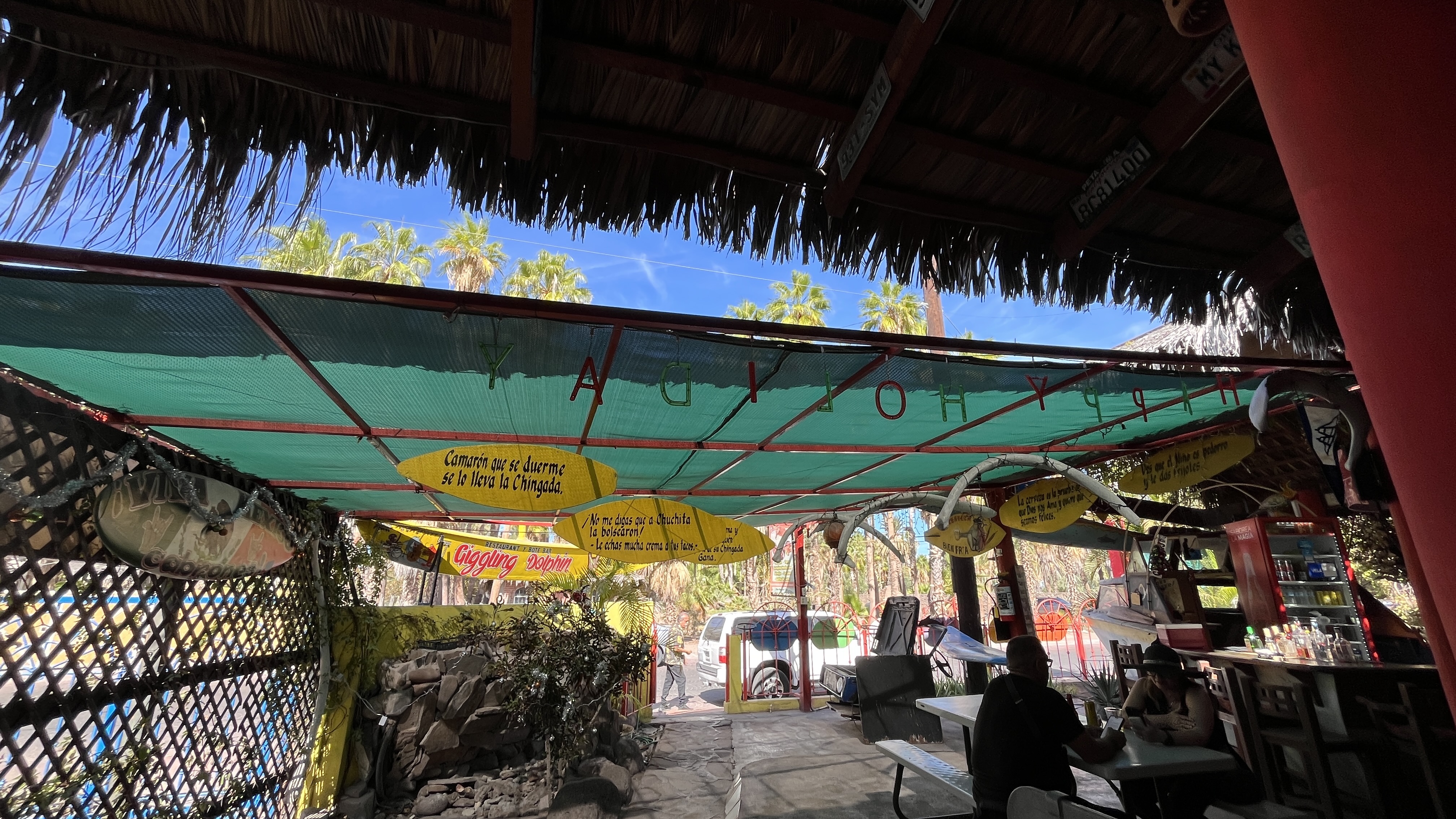 Giggling Dolphin image 5