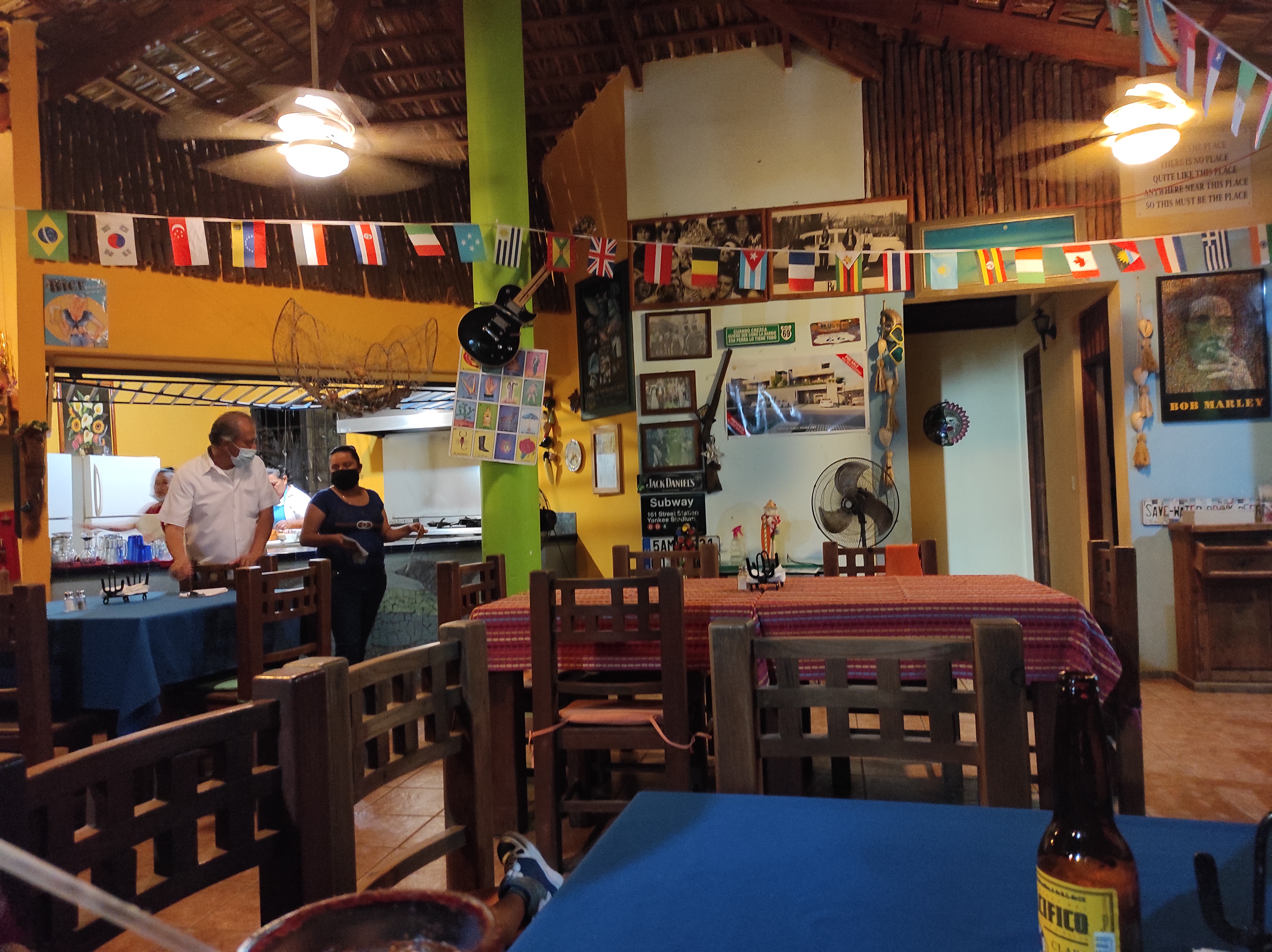 Giggling Dolphin image 6