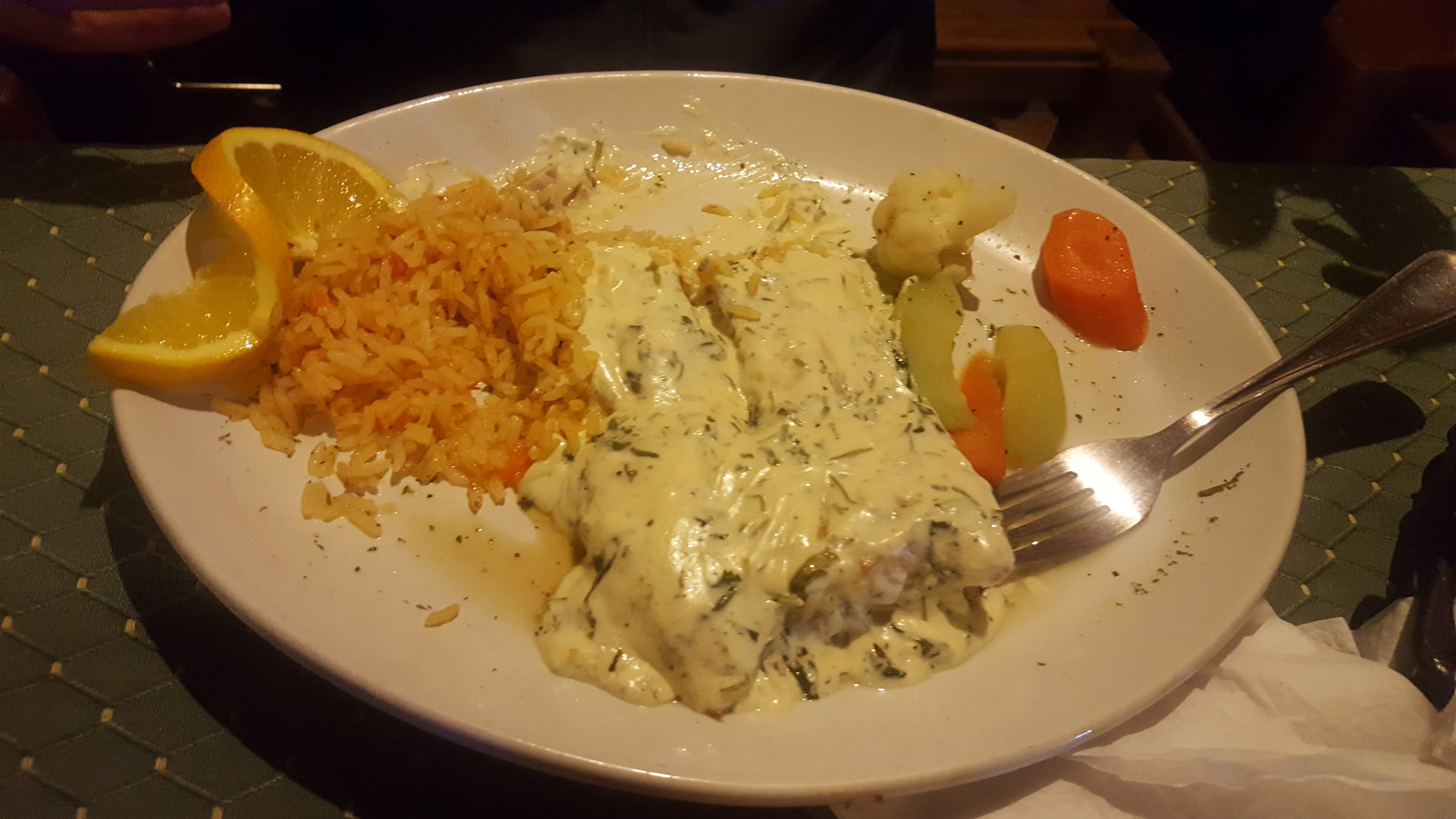 Giggling Dolphin image 8