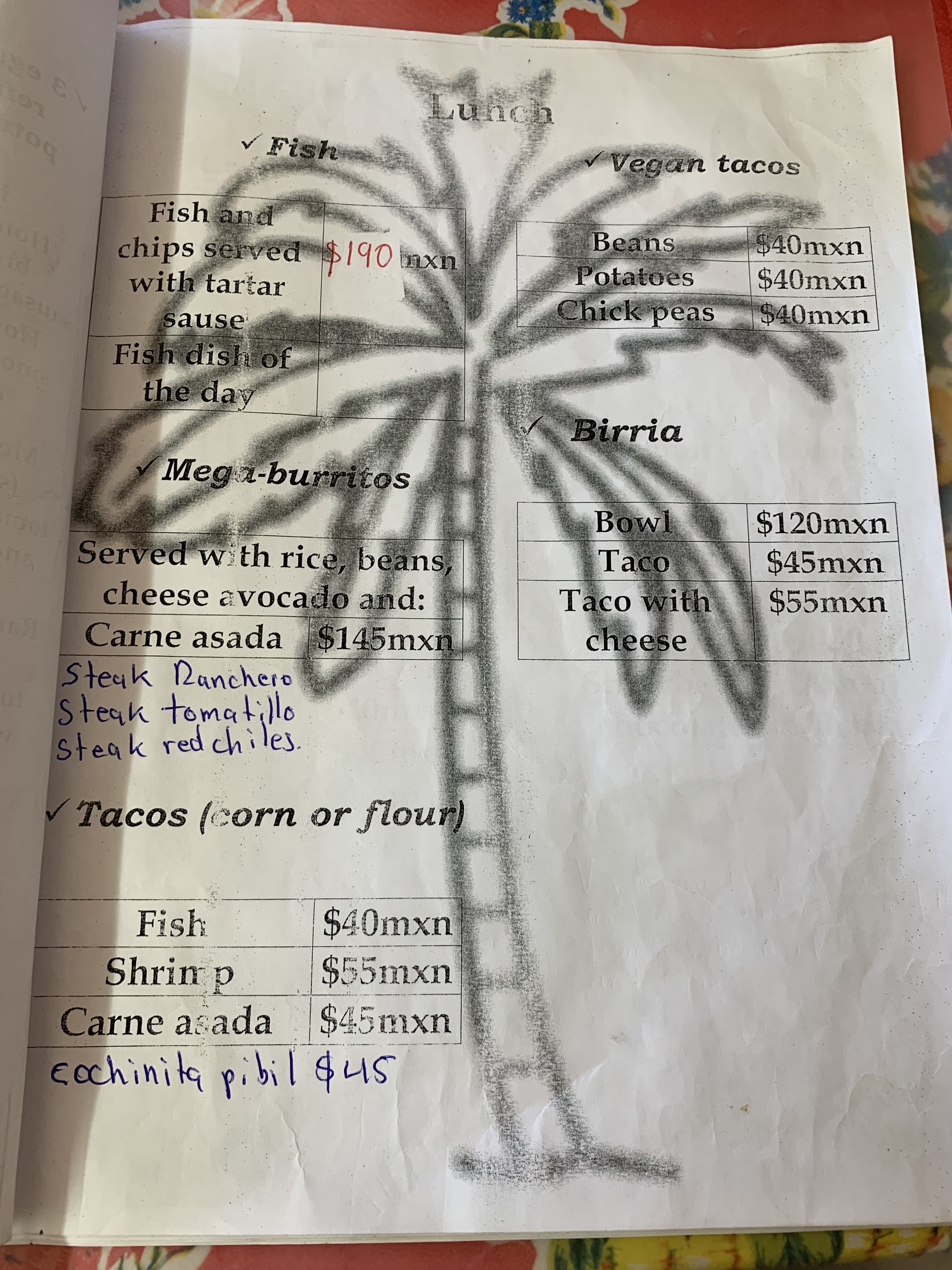 La Casa de Don image 8