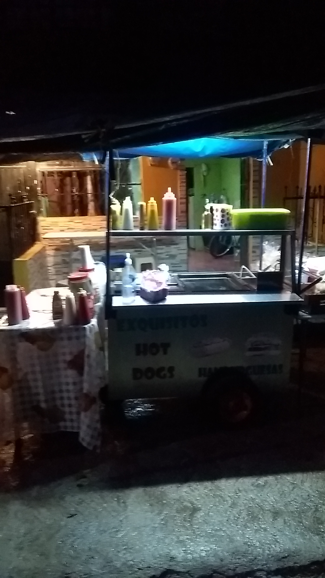 Cubanas la 20 de enero image 3