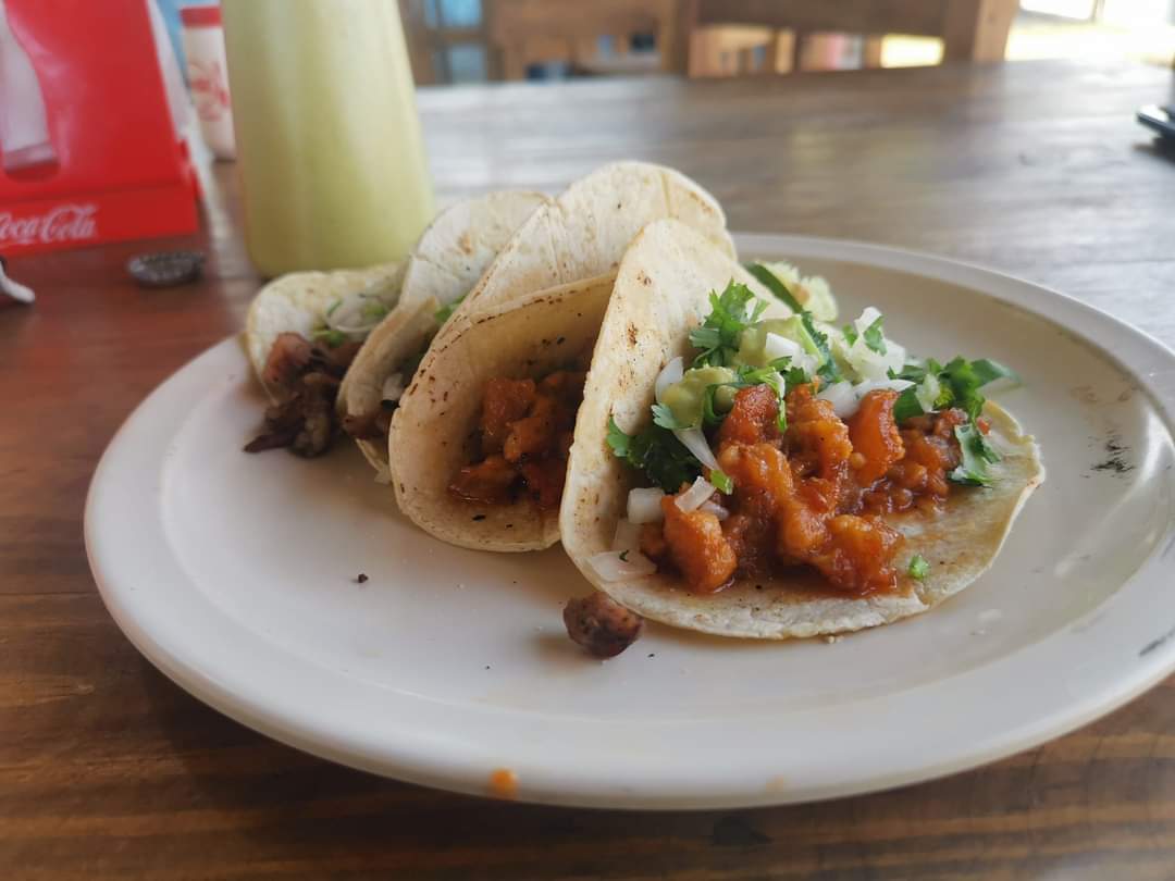 Tacos y gorditas"5 ESTRELLAS" image 7
