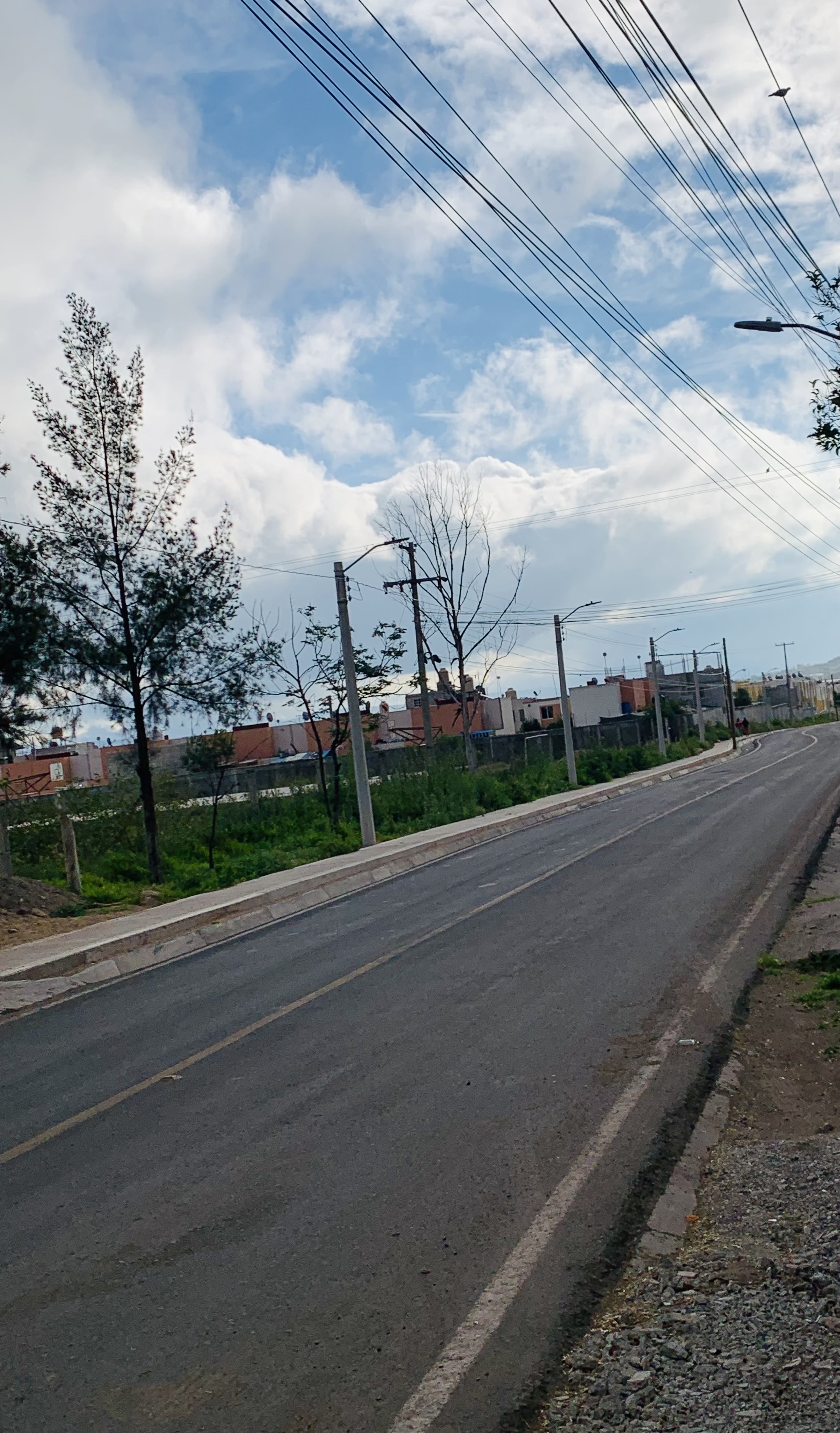 Rosticeria La Loma image 3