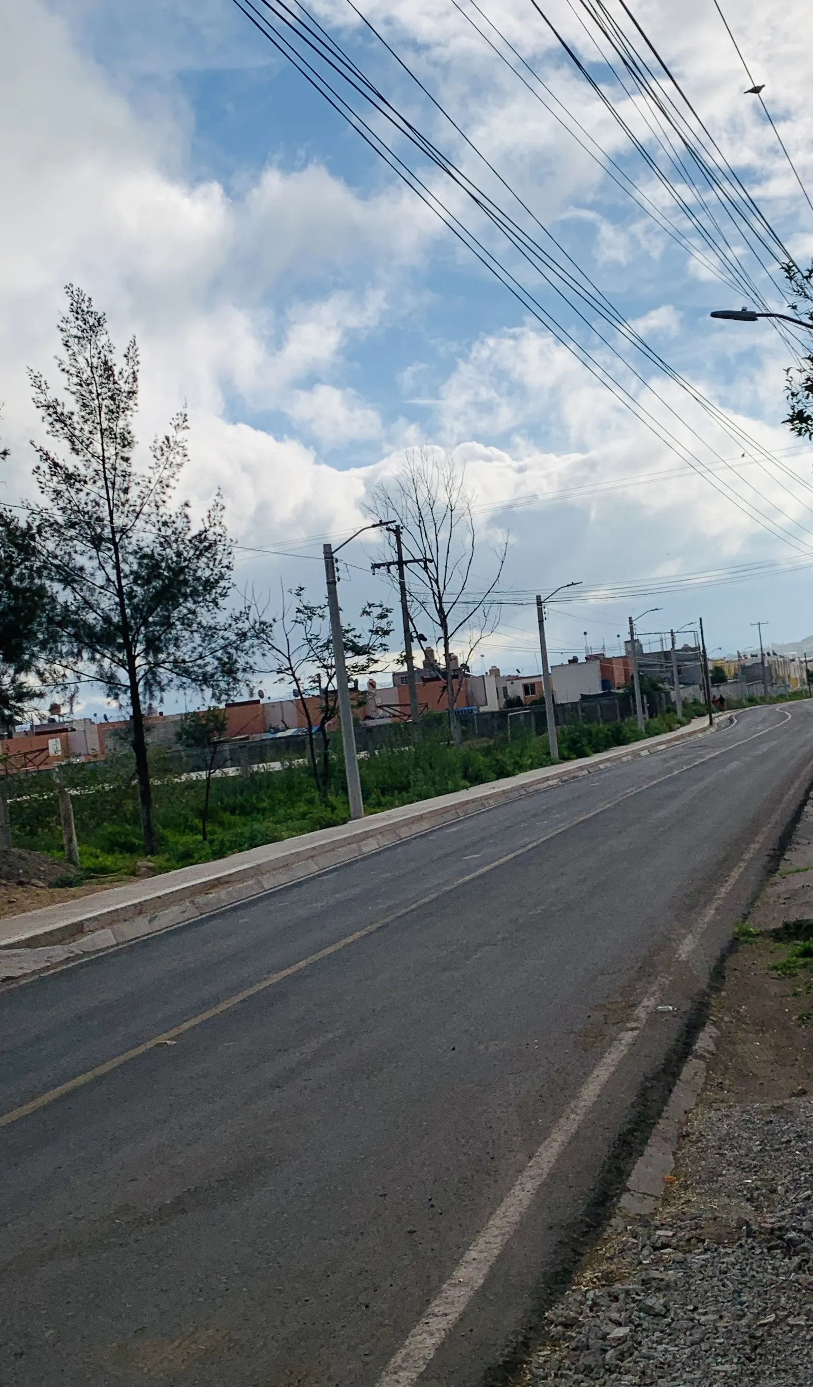Rosticeria La Loma image 3