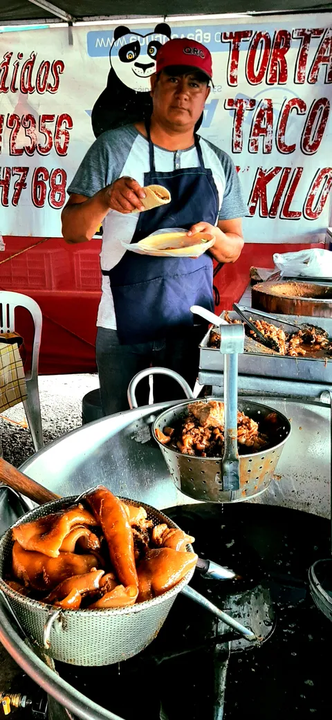 Carnitas poo image 1