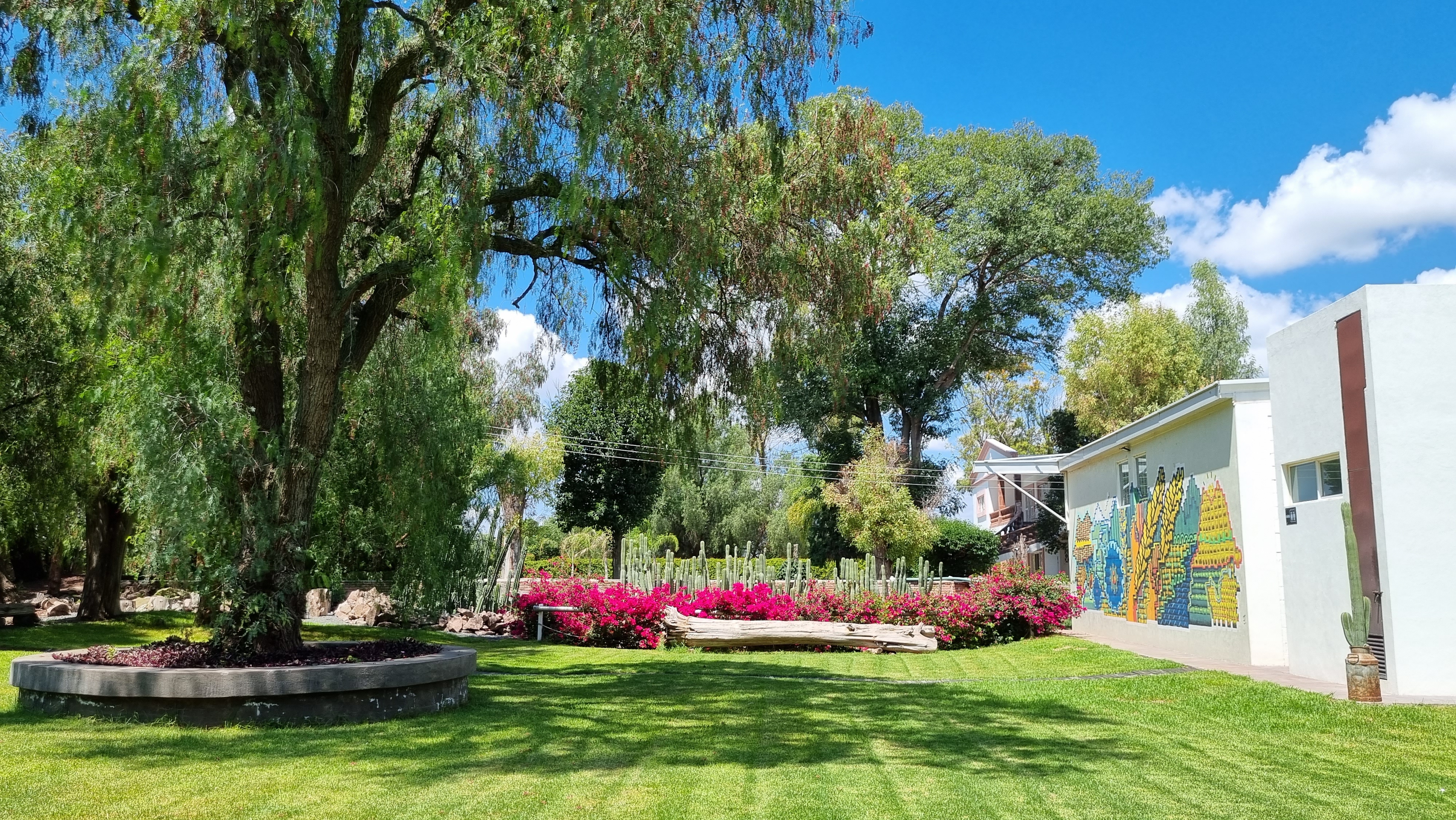 Cervecería del Campo & Finca San Sebastián image 3