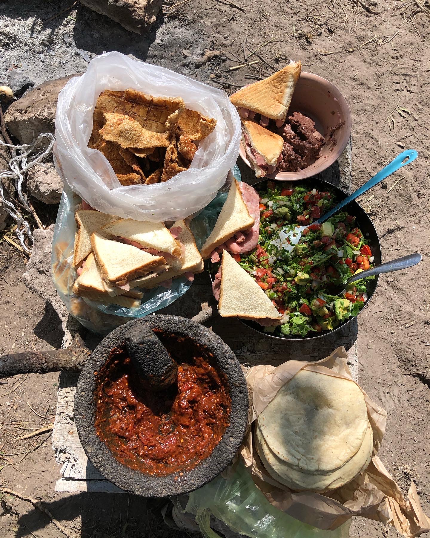 Tnacal,mayahuel image 2