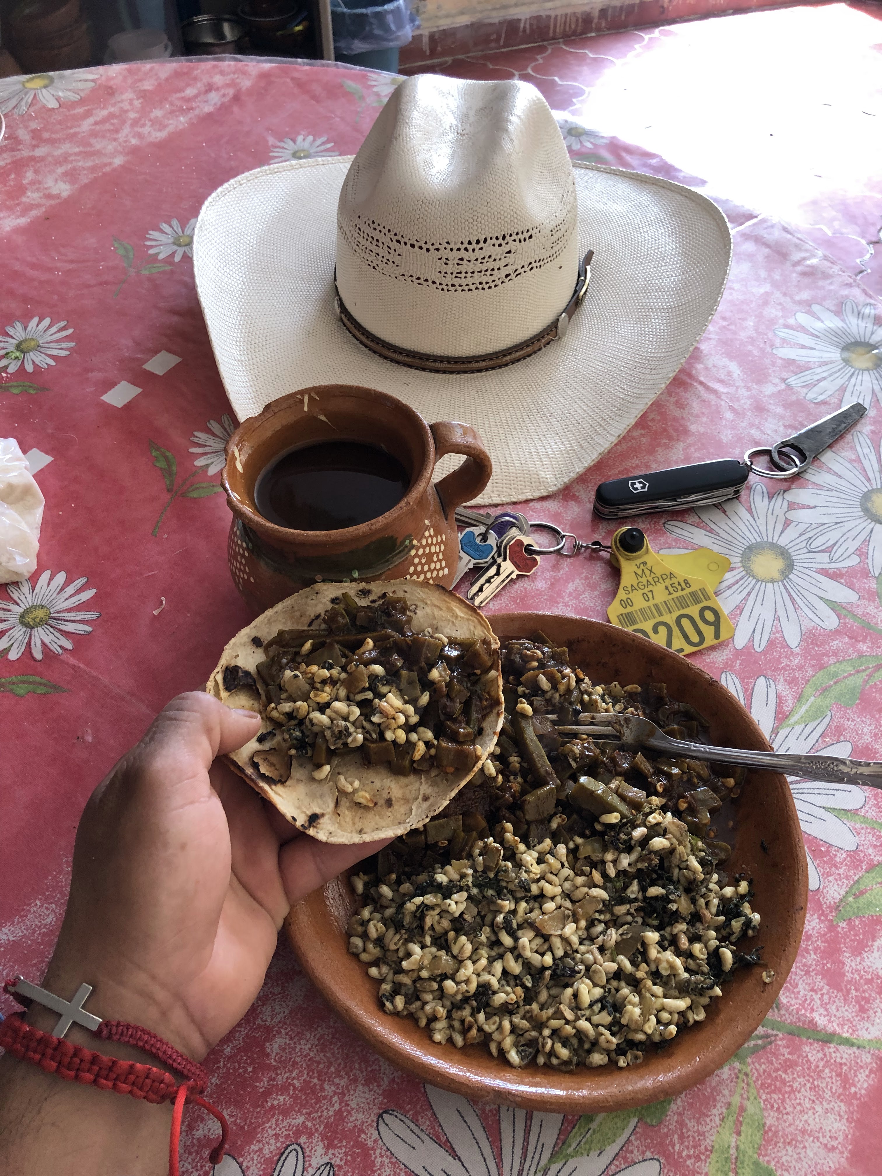 Tnacal,mayahuel image 8