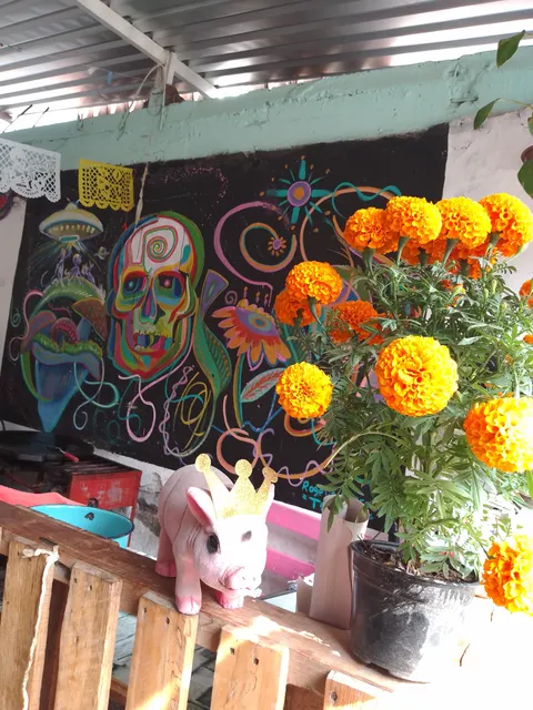 Carnitas "Los Quintero" image 7