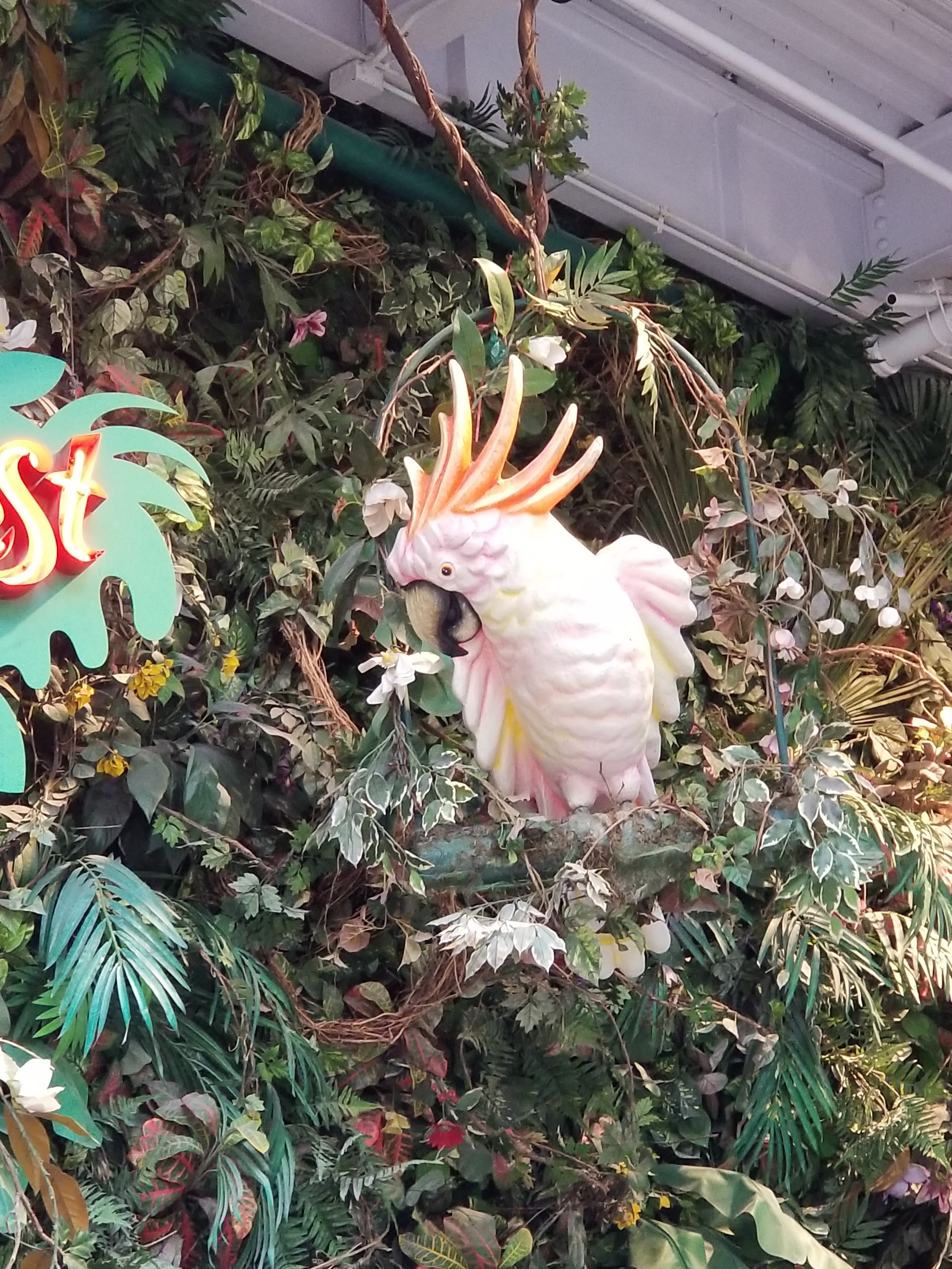 Mariscos Betty image 3